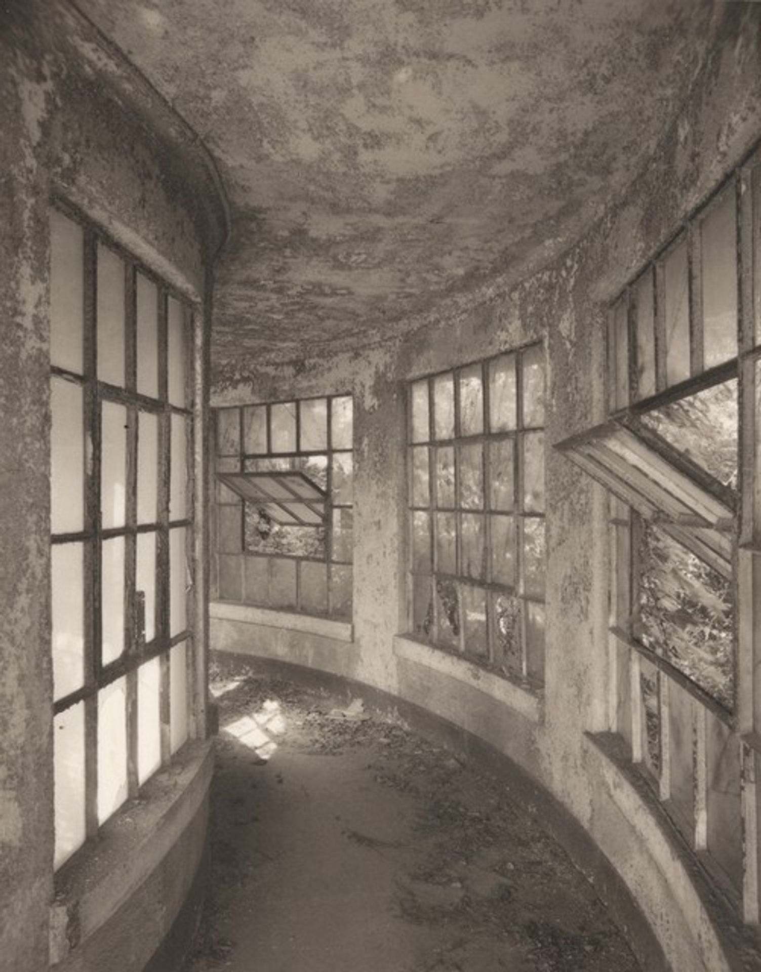 Ellis Island by Madoka Takagi