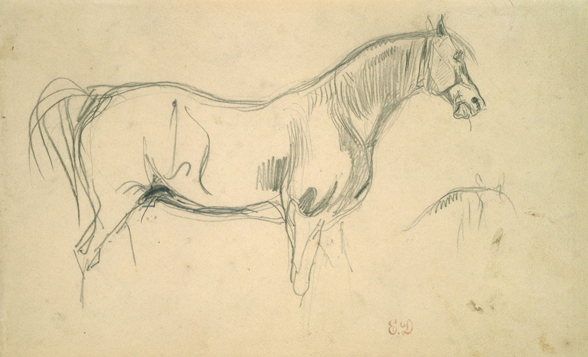 Studies of a Horse in Profile by Eugène Delacroix