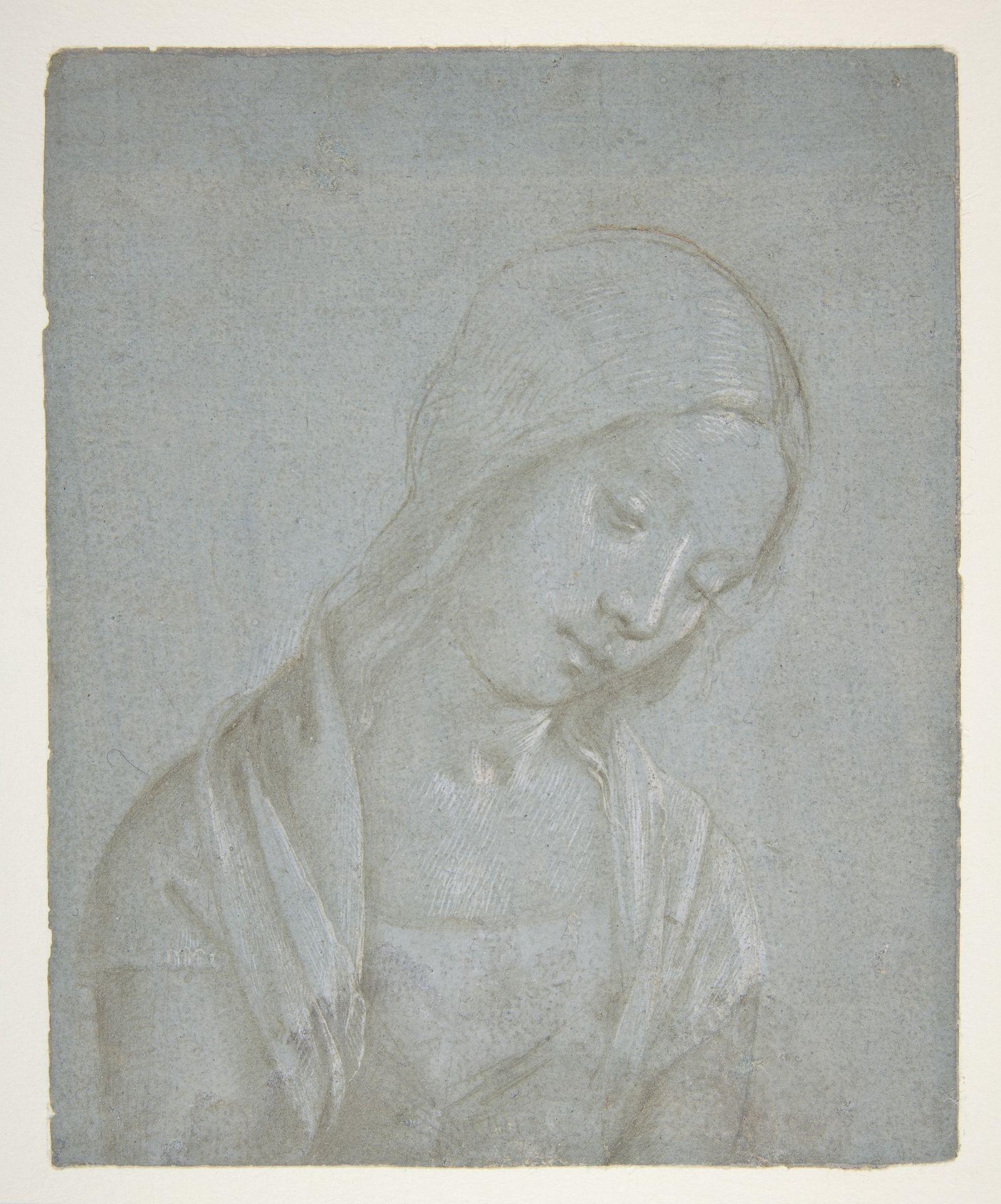 Bust of a Young Woman by Piero di Cosimo