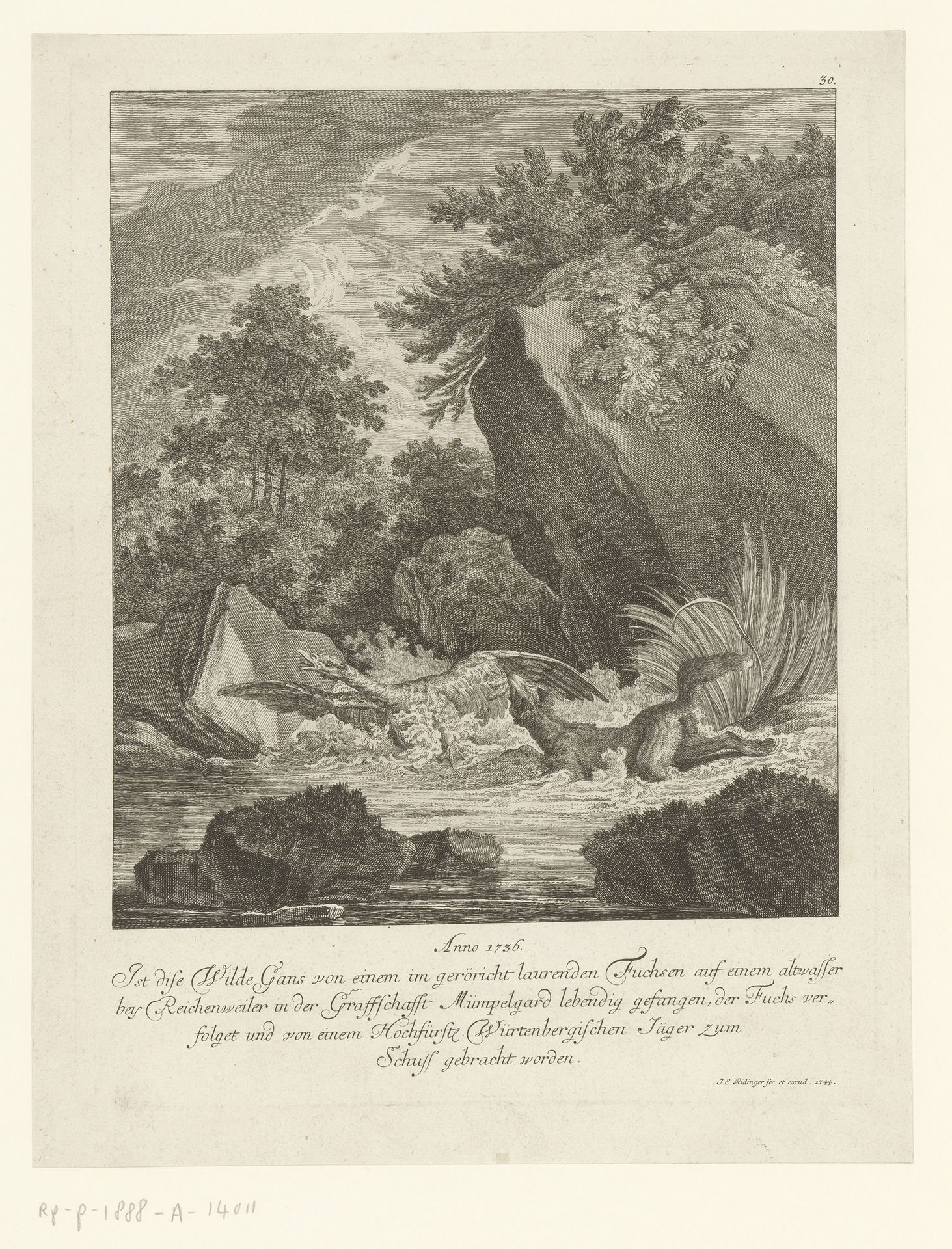 Vos vangt een gans in het water by Johann Elias Ridinger