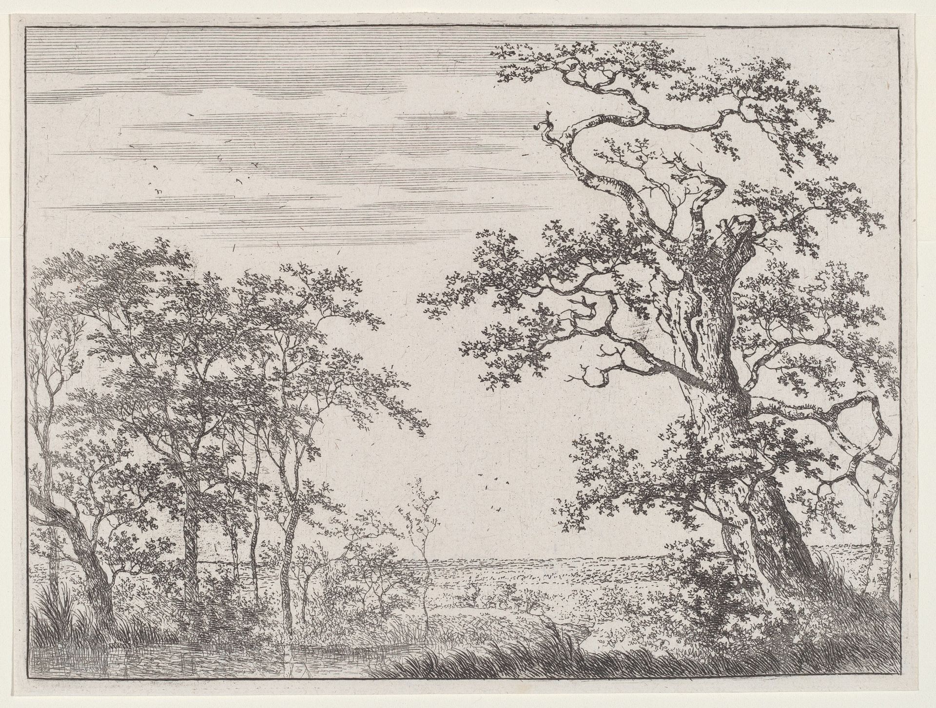 Landscape with a Stream and an Ancient Tree by Adriaen Hendricks Verboom