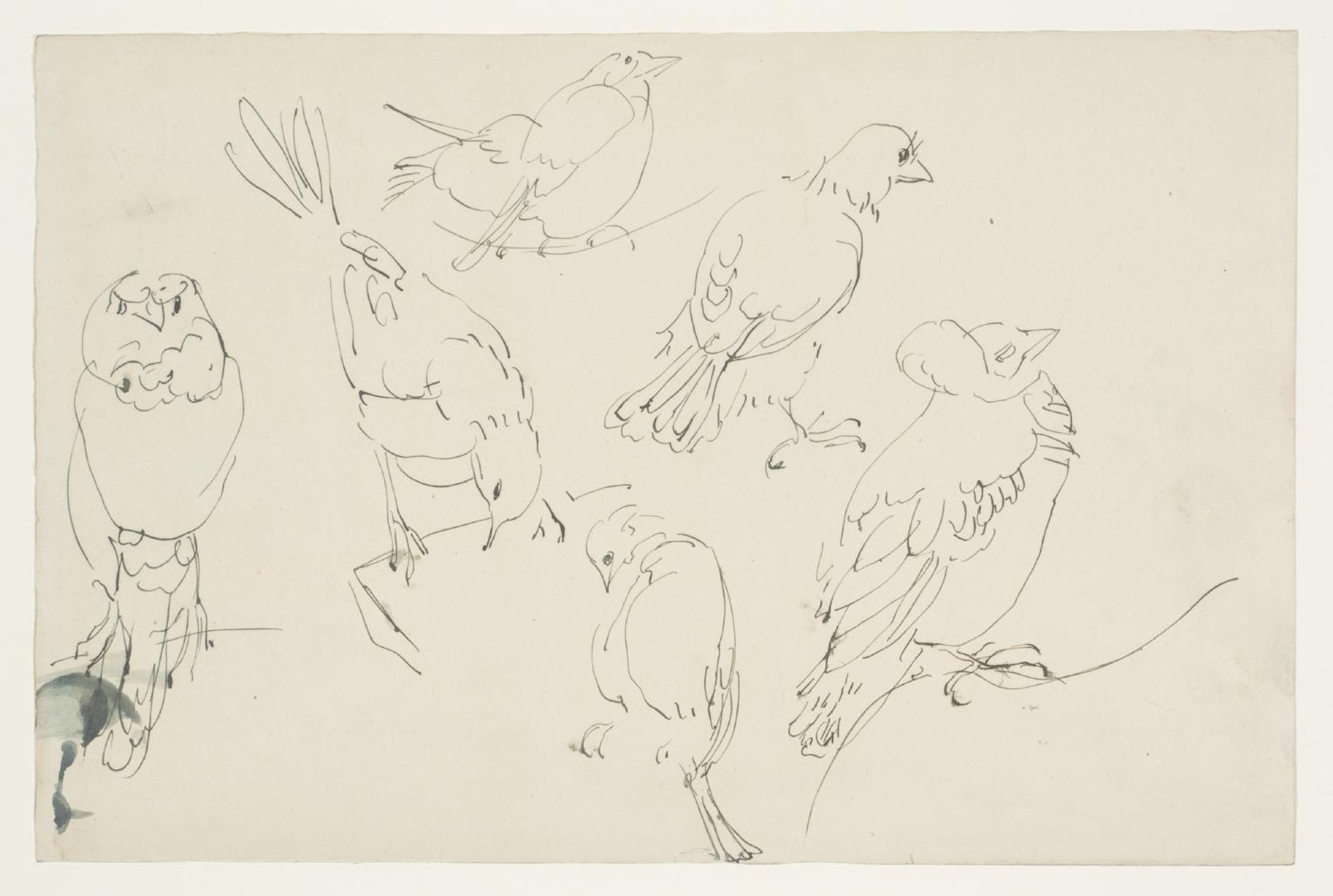 Studies of Birds by Henri Gaudier-Brzeska