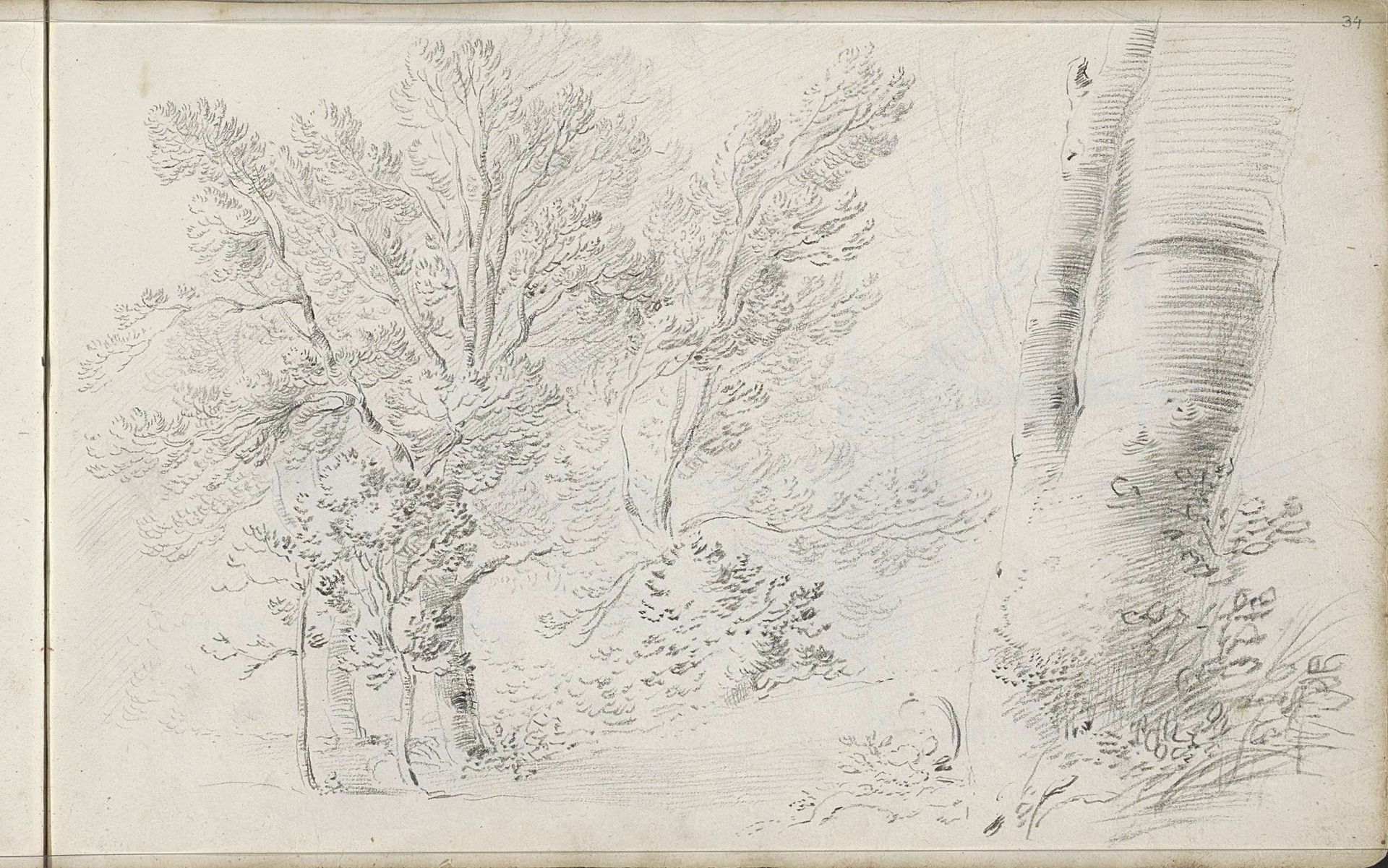 Boslandschap by Pieter Moninckx