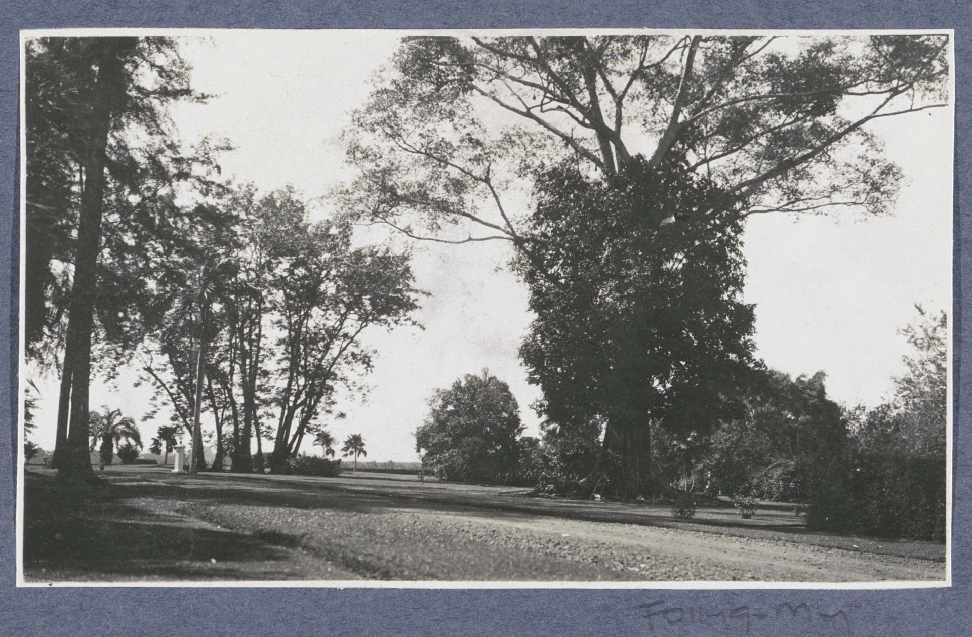 Tuin van cultuuronderneming Gedong Djohore van de Deli-Batavia Maatschappij bij Medan by Anonymous