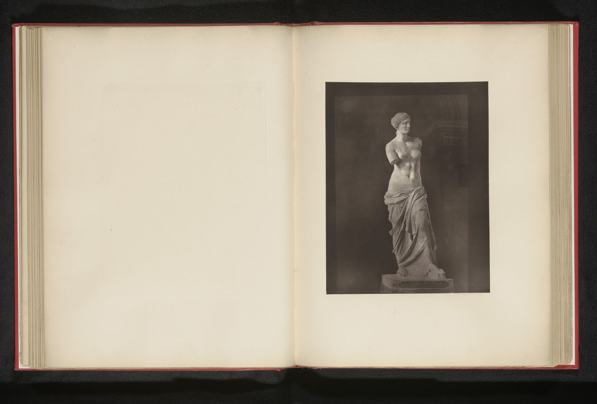 Venus van Milo by Stephen Thompson