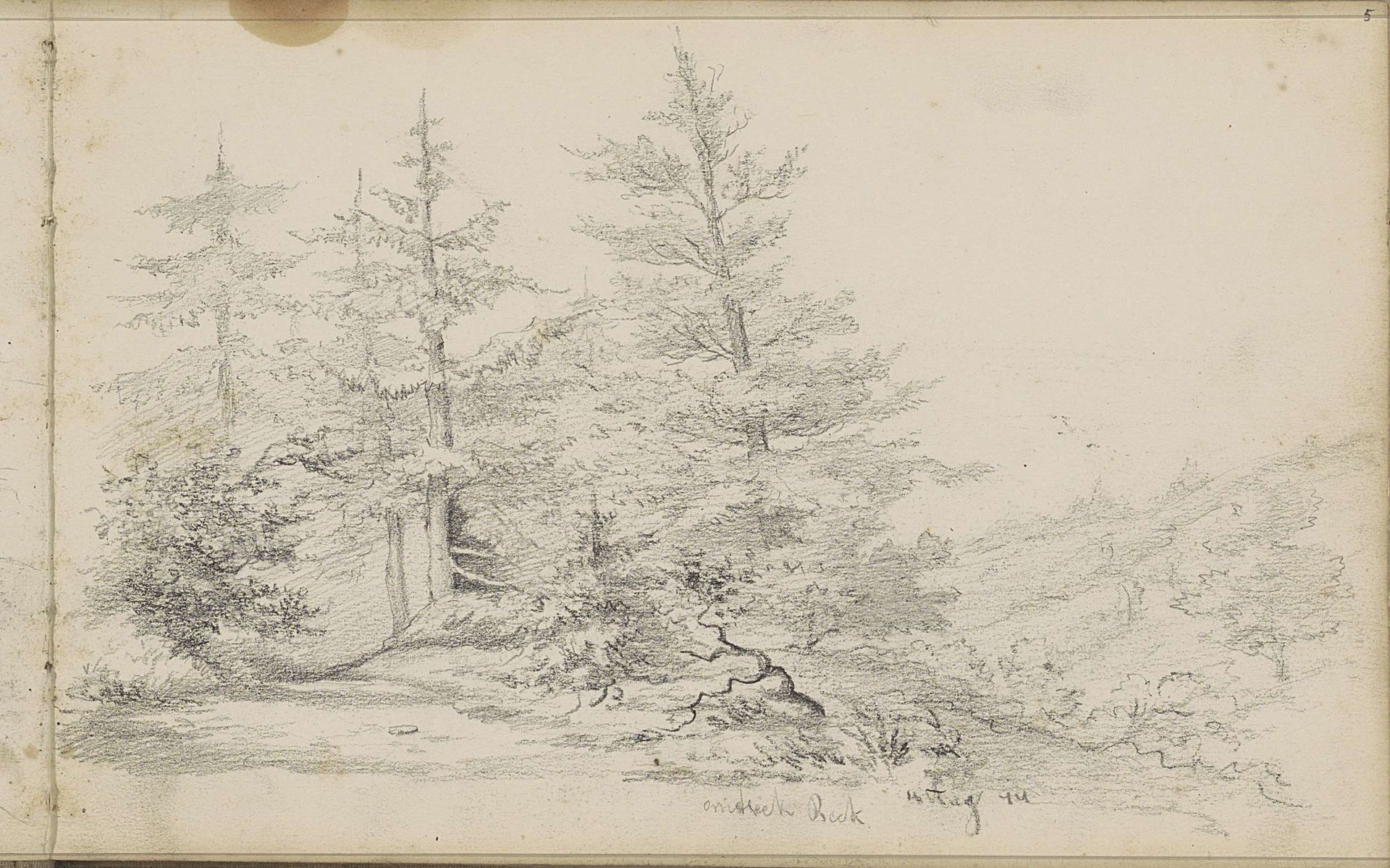 Naaldbomen bij Beek by Willem Cornelis Rip