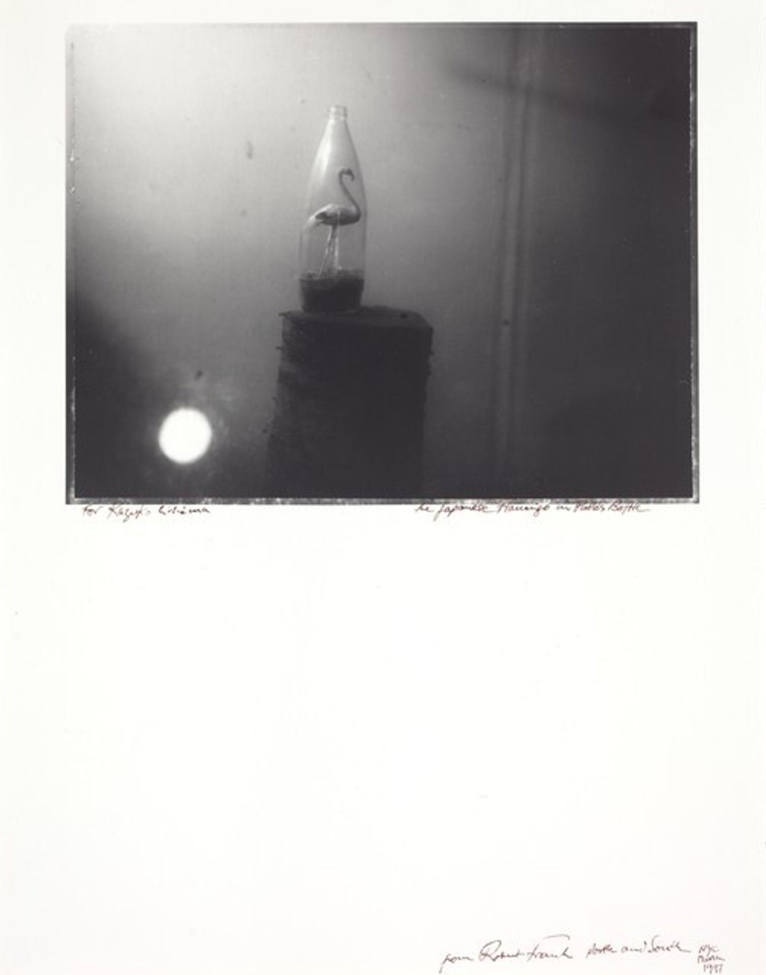 The Japanese Flamingo in Pablo's Bottle by Robert Frank