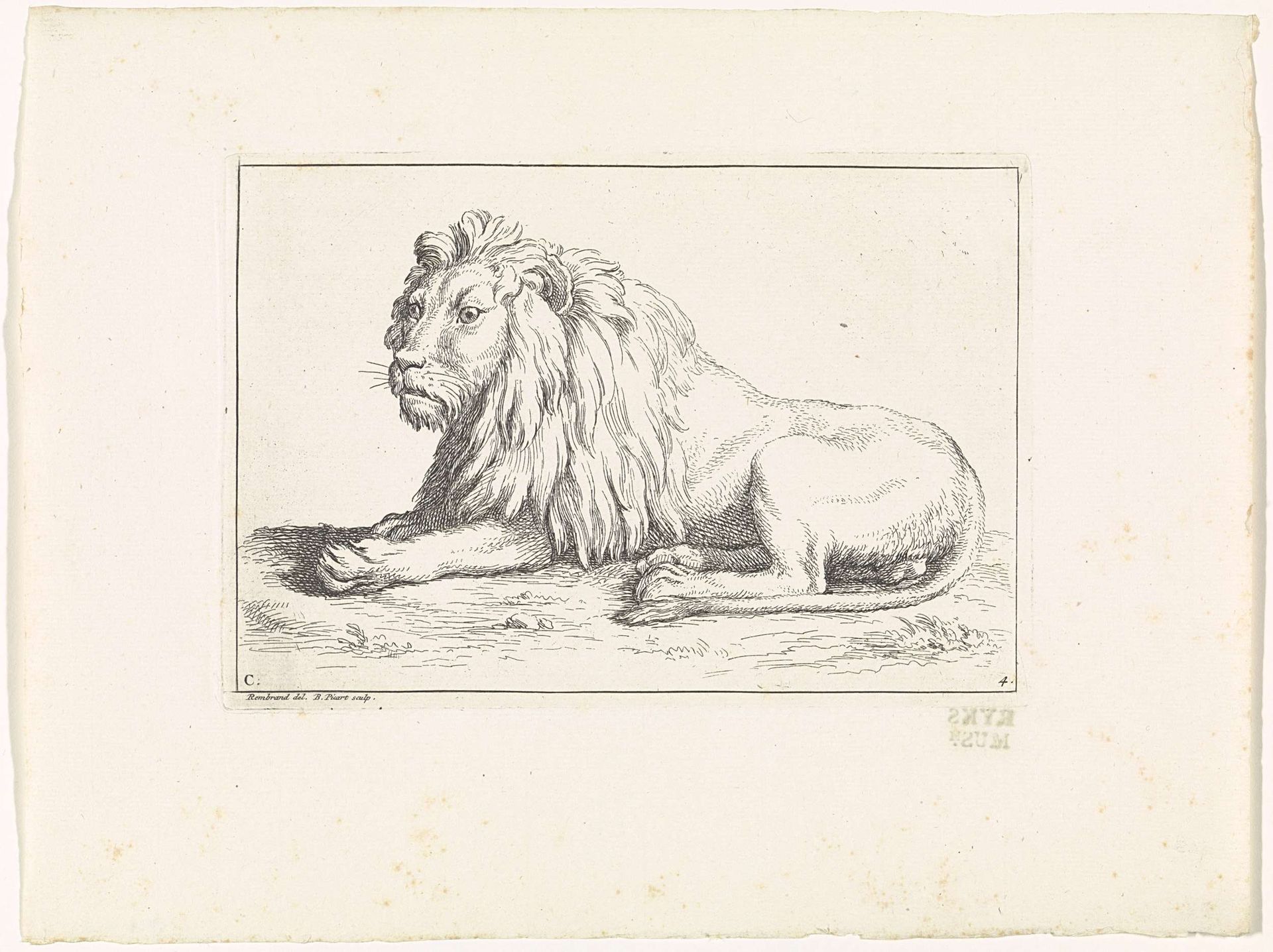 Leeuw by Bernard Picart