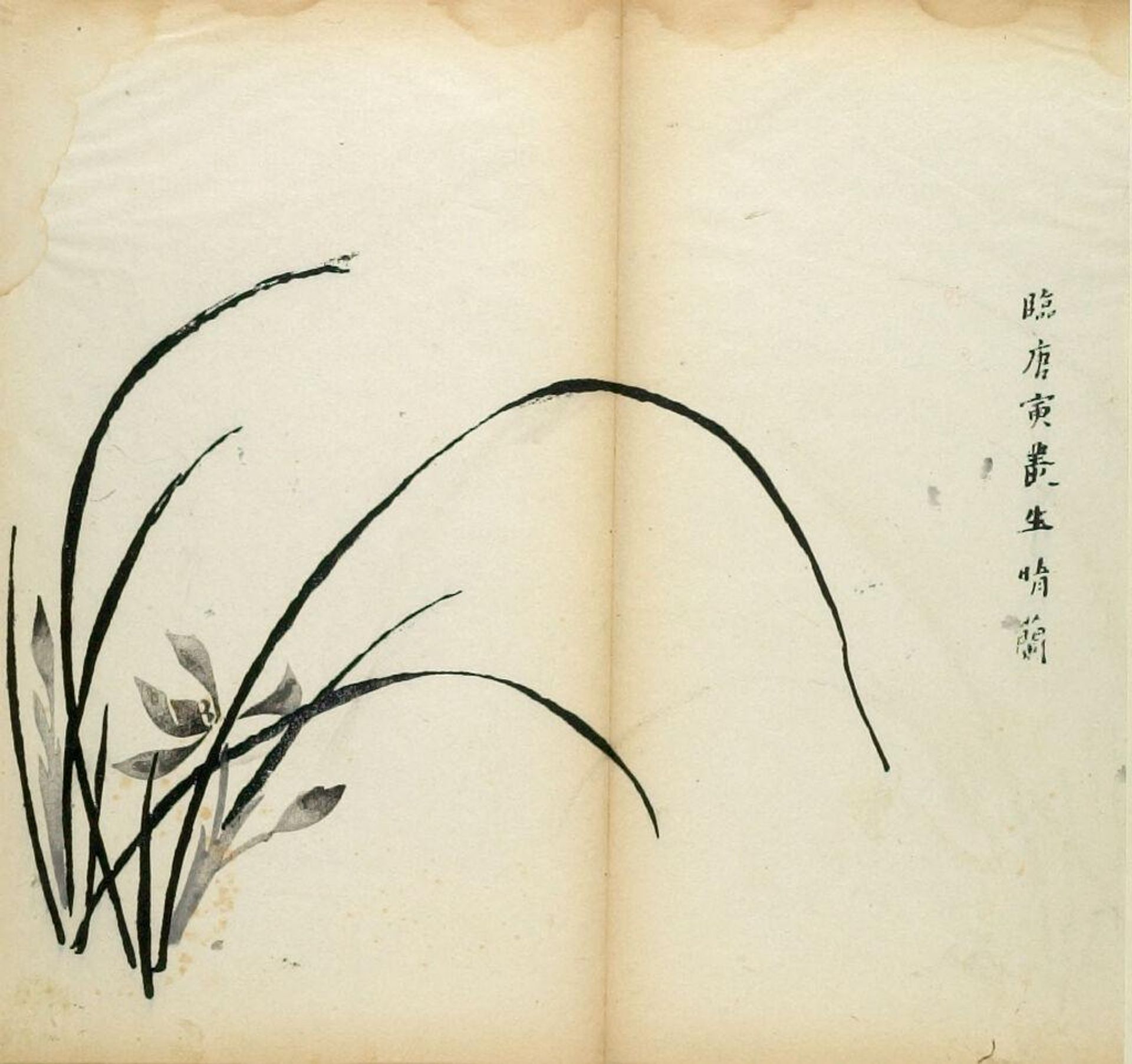 Orchids -- Illustration from the Ten Bamboo Studio Manual of Calligraphy and Painting (Shizhuzhai shuhua pu) by Hu Zhengyan