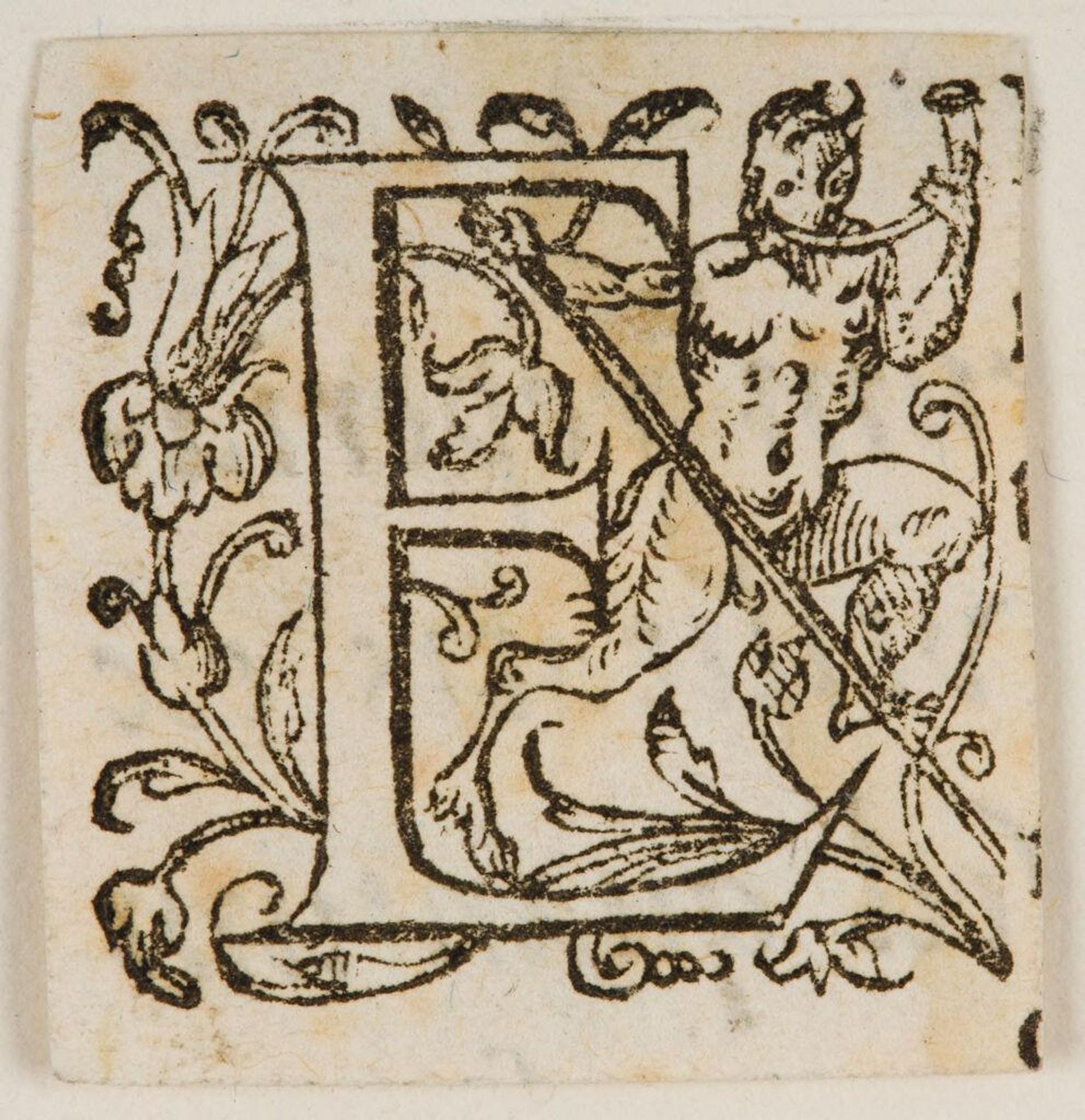 Letter E by Anonymous