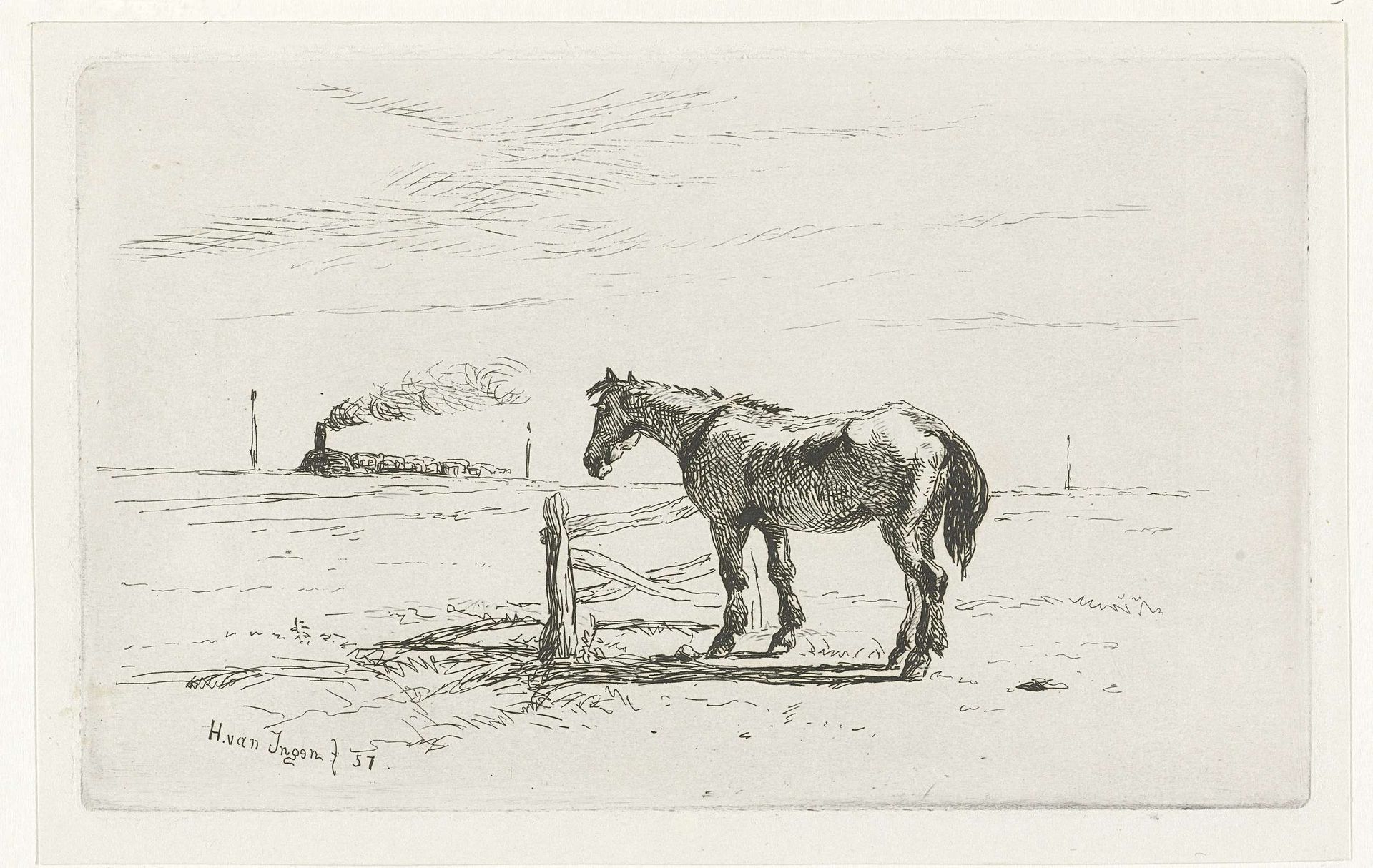Paard in een weiland by Henry van Ingen
