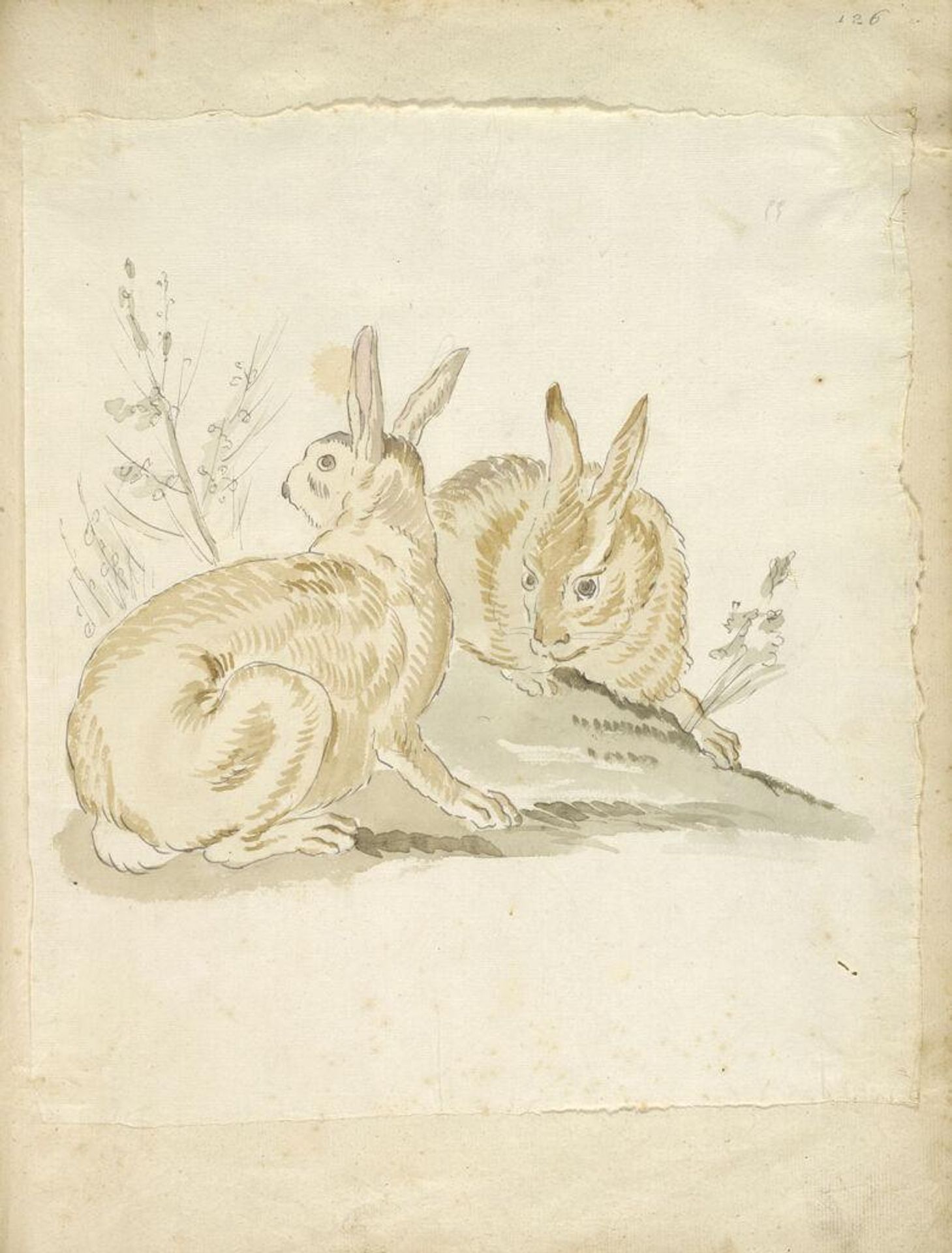 Two Rabbits; verso: blank by Jean-Baptiste Oudry