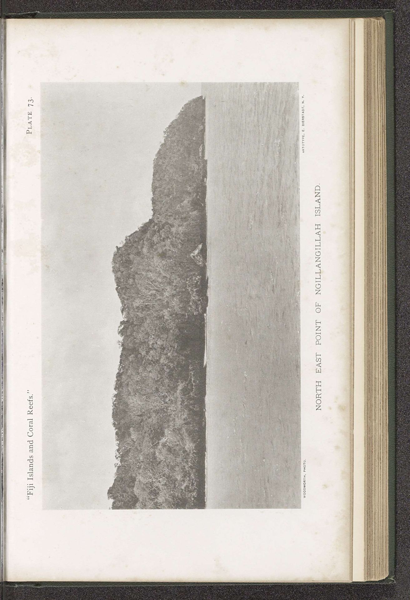 Gezicht op een eiland van Fiji by W. McM. Woodworth