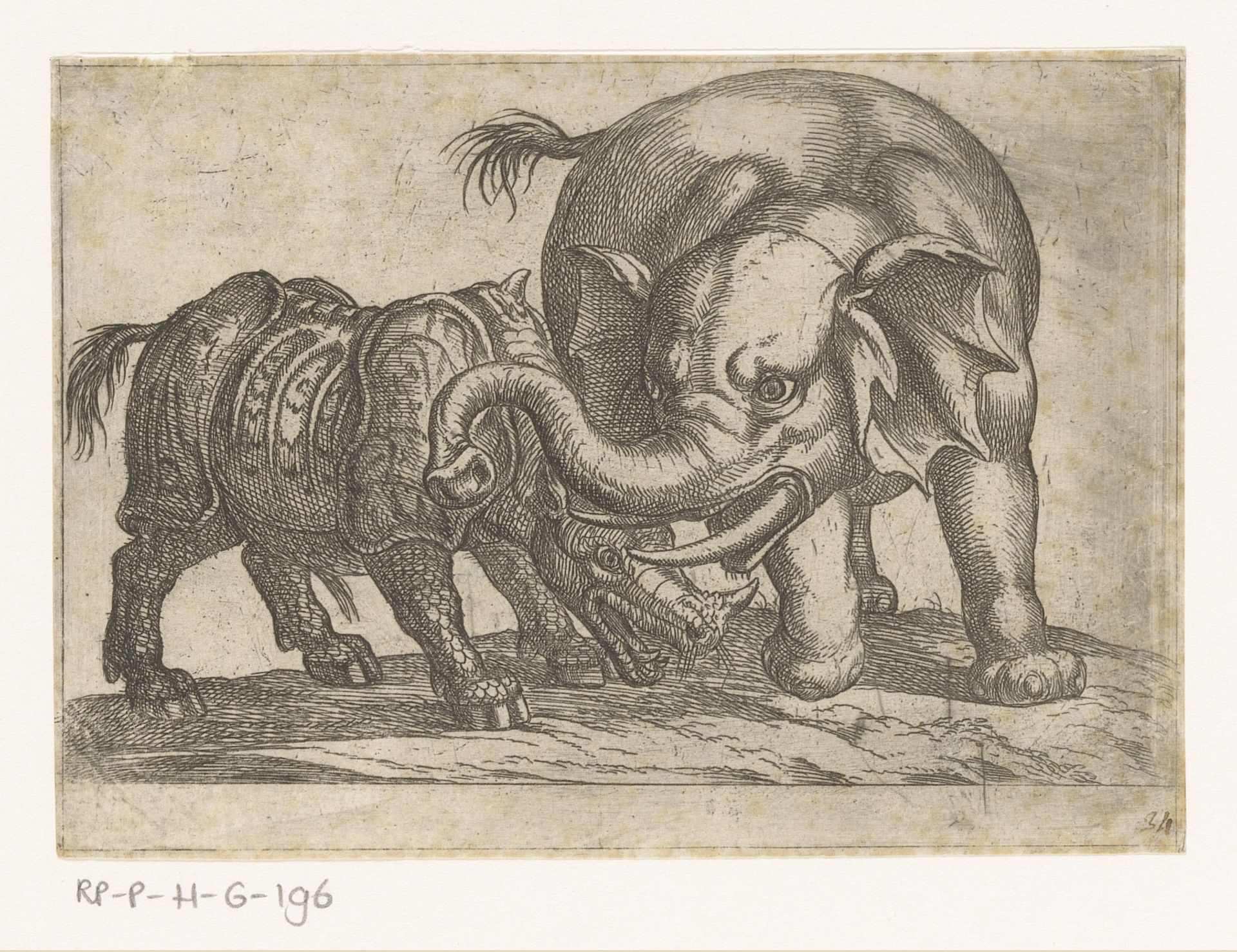 Een neushoorn vecht met een olifant by Antonio Tempesta