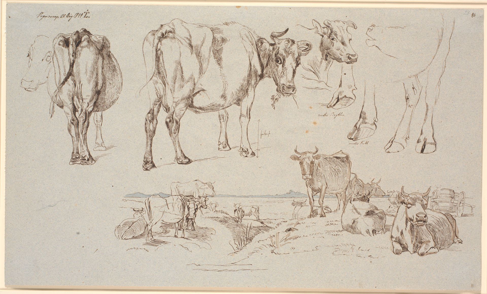 Studieblad fra Vognserup. Foroven studier af køer, f.n. land-skab med stående og liggende køer by Johan Thomas Lundbye