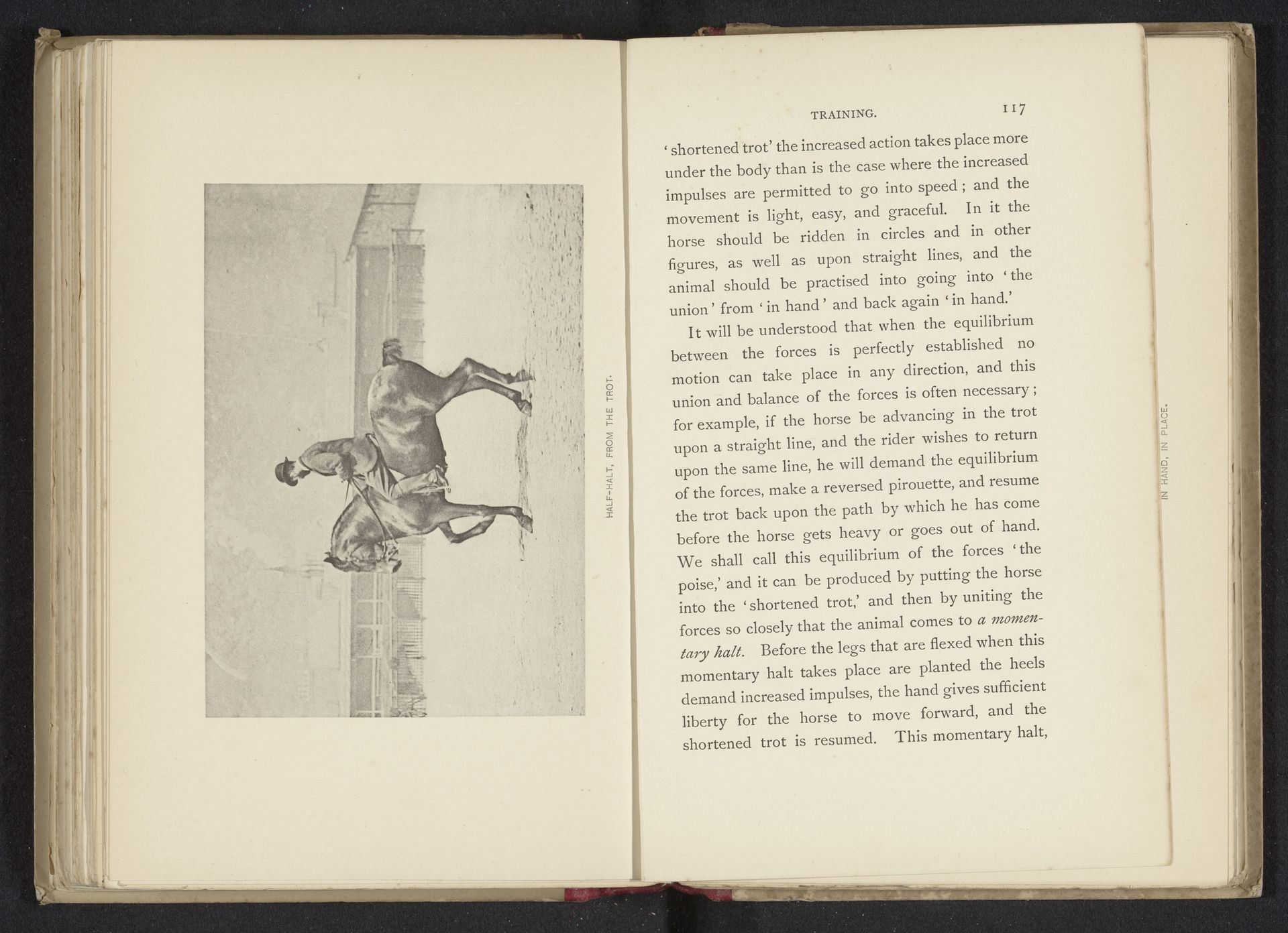 Man op een paard met een voorbeen omhoog by Alexander Nicol