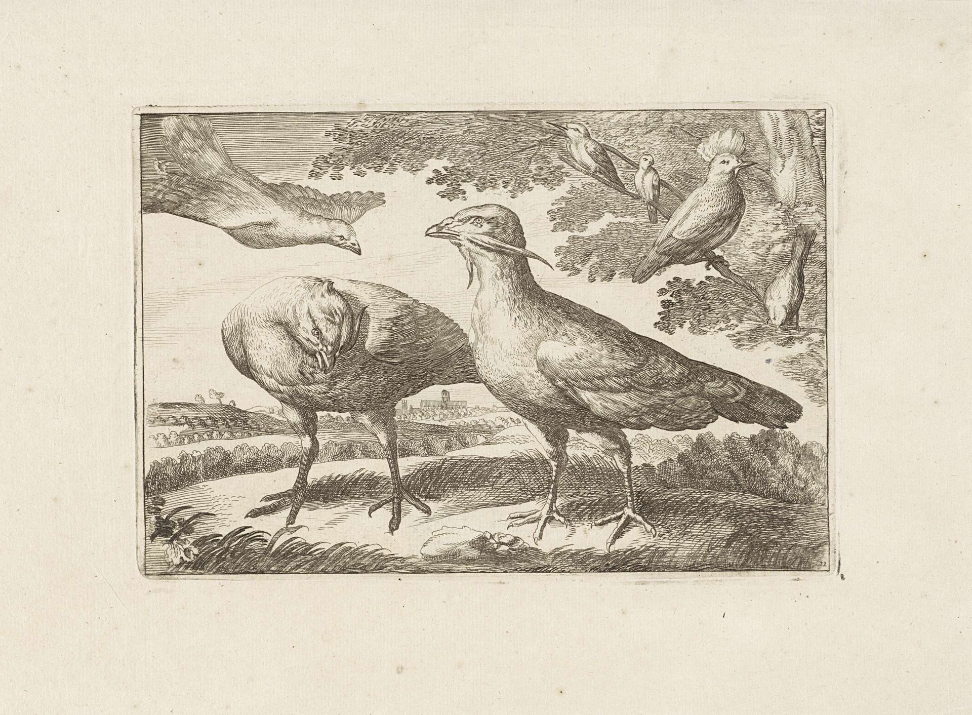 Trapganzen en mogelijk een hop by Pieter Schenk