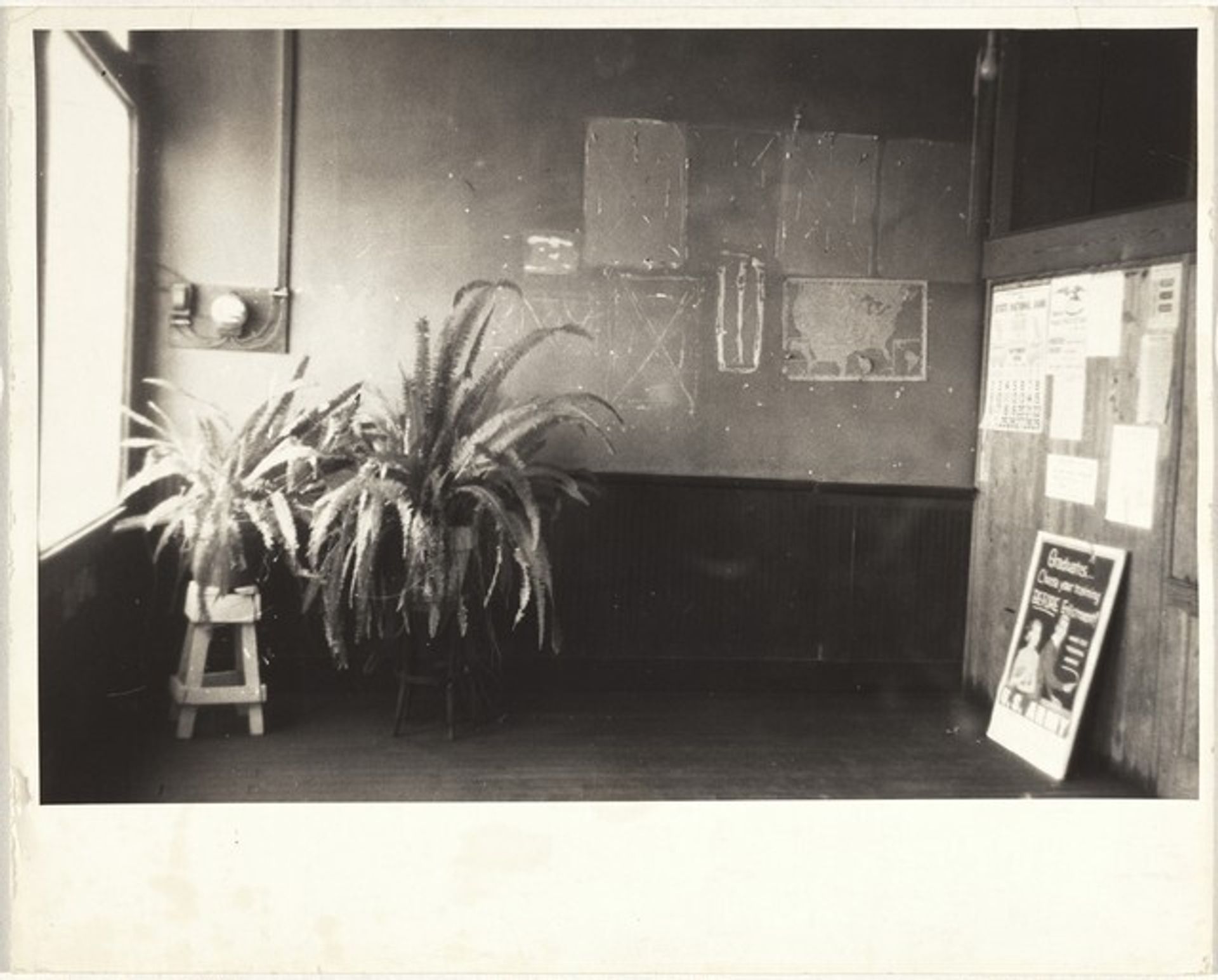 Interior with ferns--Paint Rock, Alabama by Robert Frank