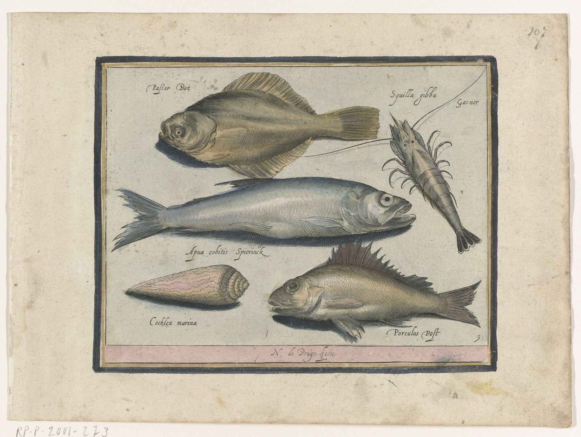 Bot, garnaal, spiering en pos by Nicolaes de Bruyn
