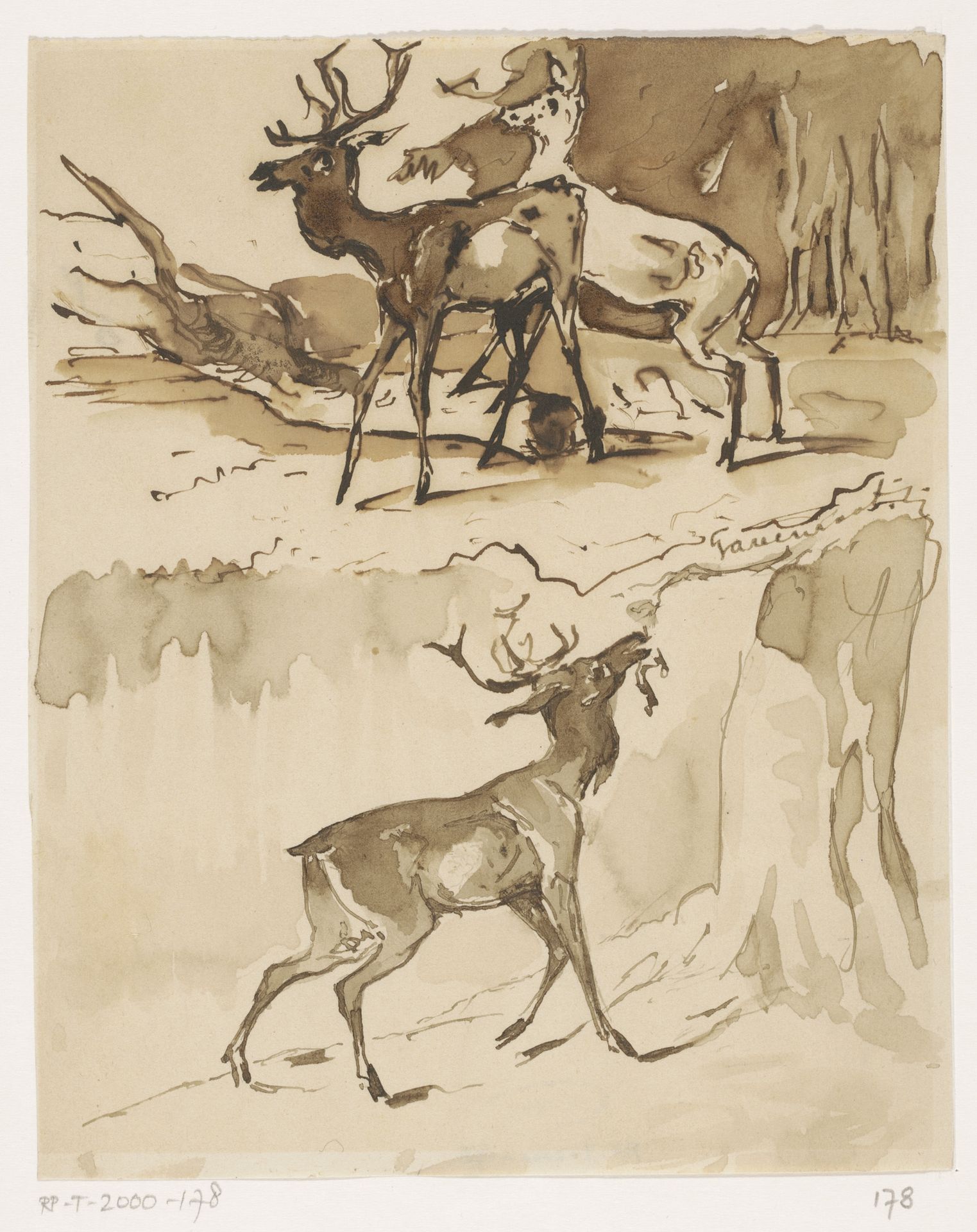 Twee schetsen van herten by Johannes Tavenraat