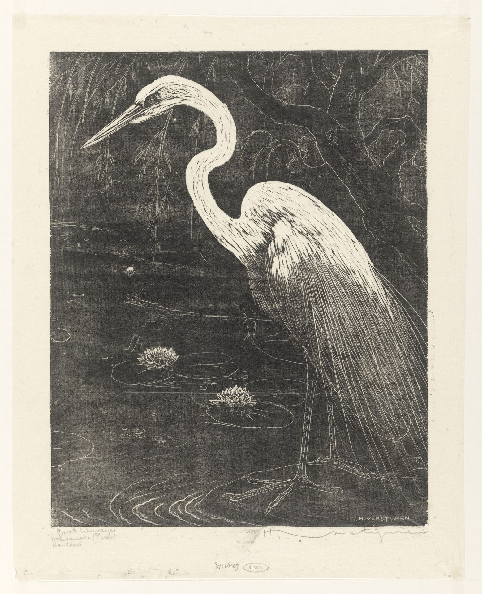 Groote zilverreiger by Henri Verstijnen