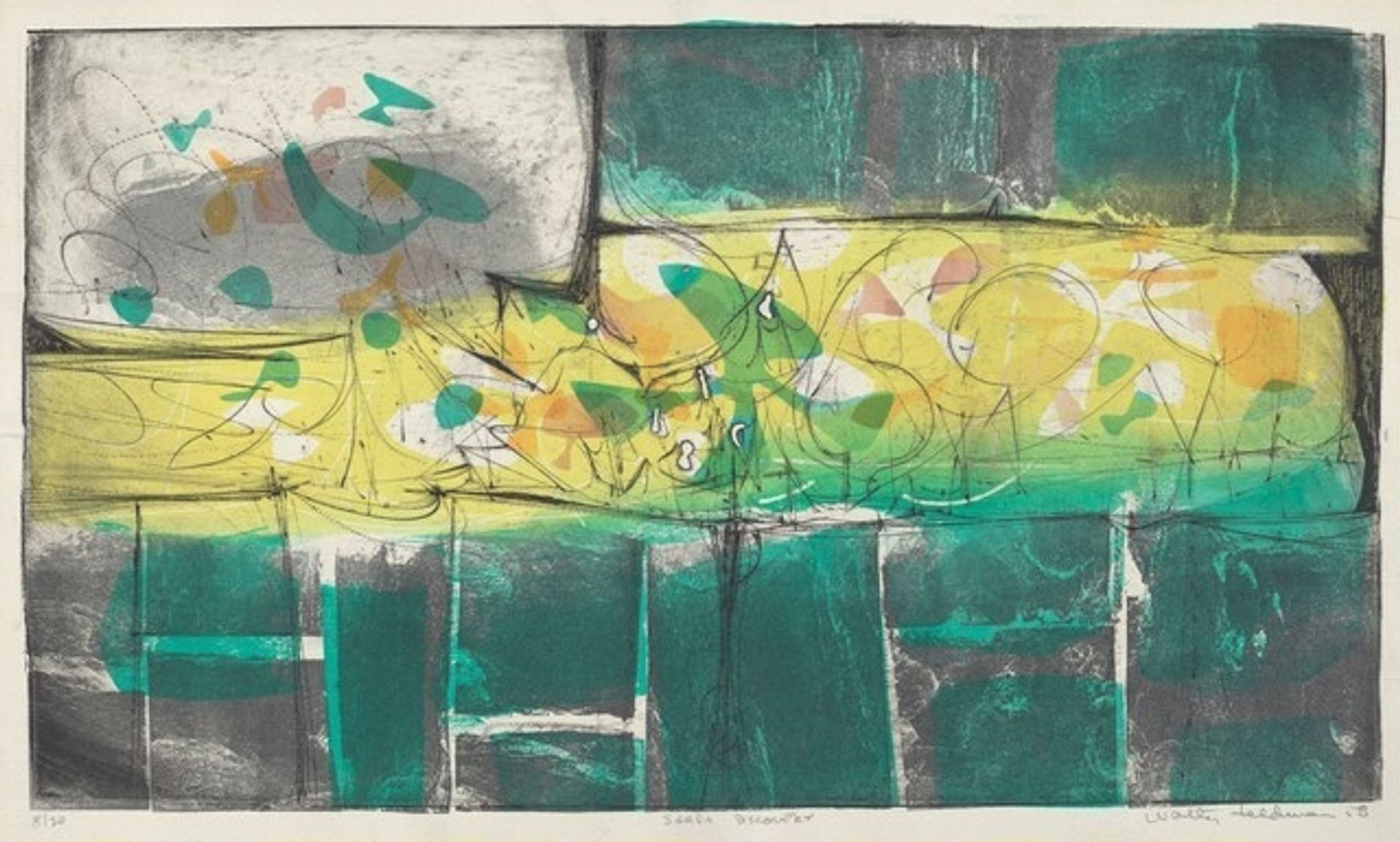 Sarda Discovery by Walter Feldman