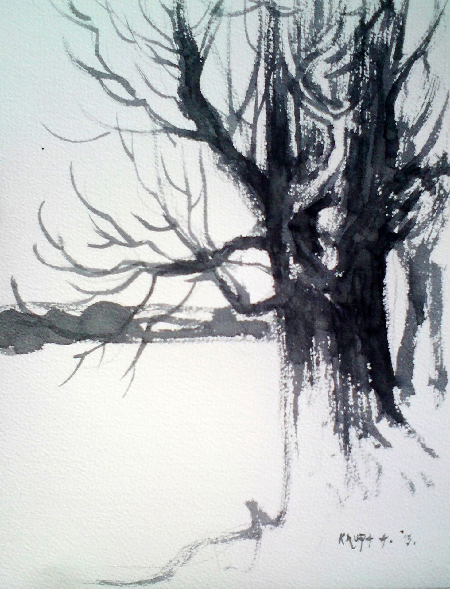 The portrait of one poplar by Alfred Freddy Krupa