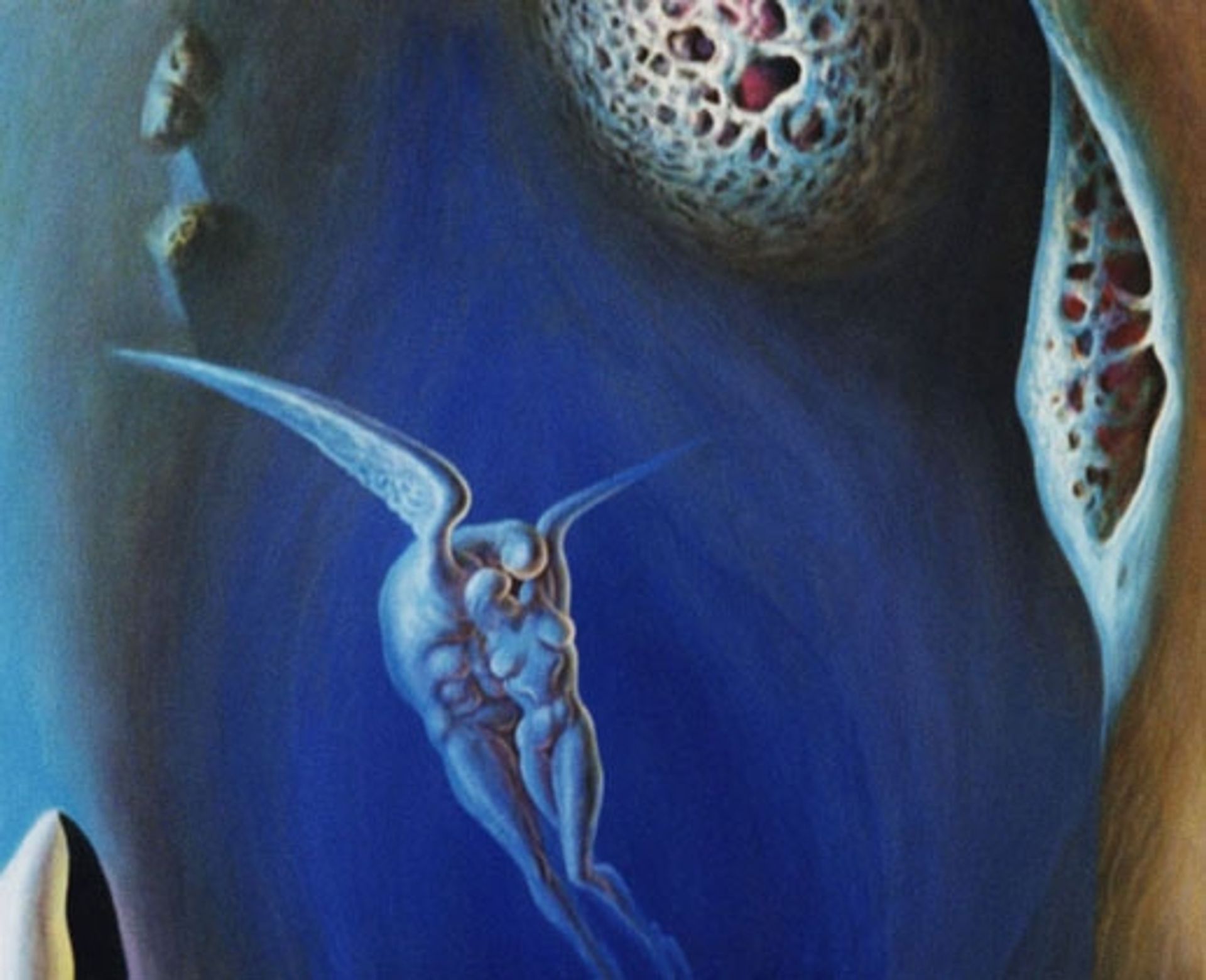 Universe of Love by Sabin Balasa