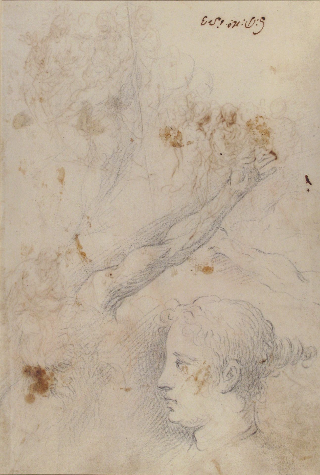 Studies of an Arm, and of the Heads of an Old Man and Young Woman by Palma il Giovane