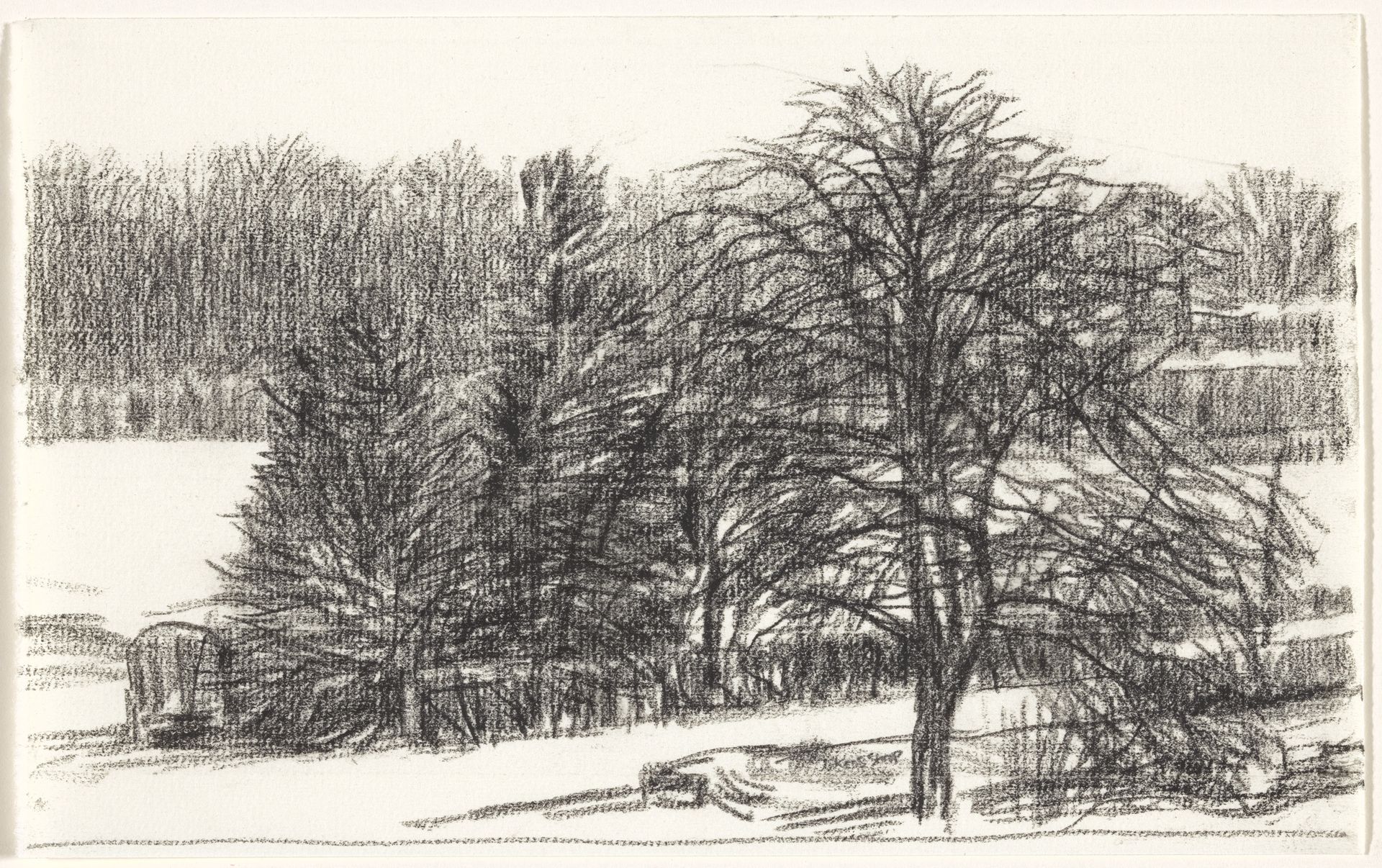 Bomen by Kees Stoop