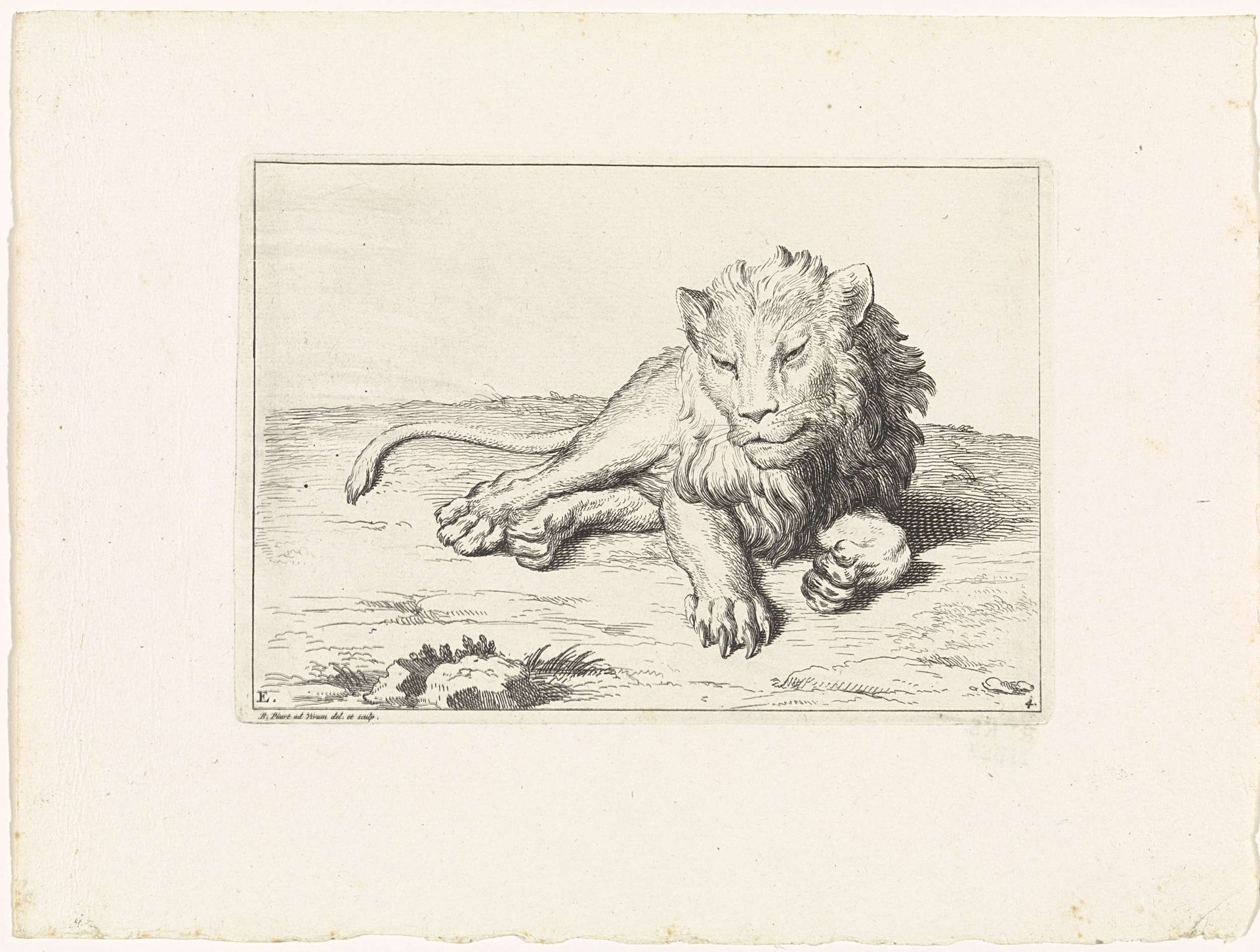 Leeuw met uitgeslagen nagels by Bernard Picart