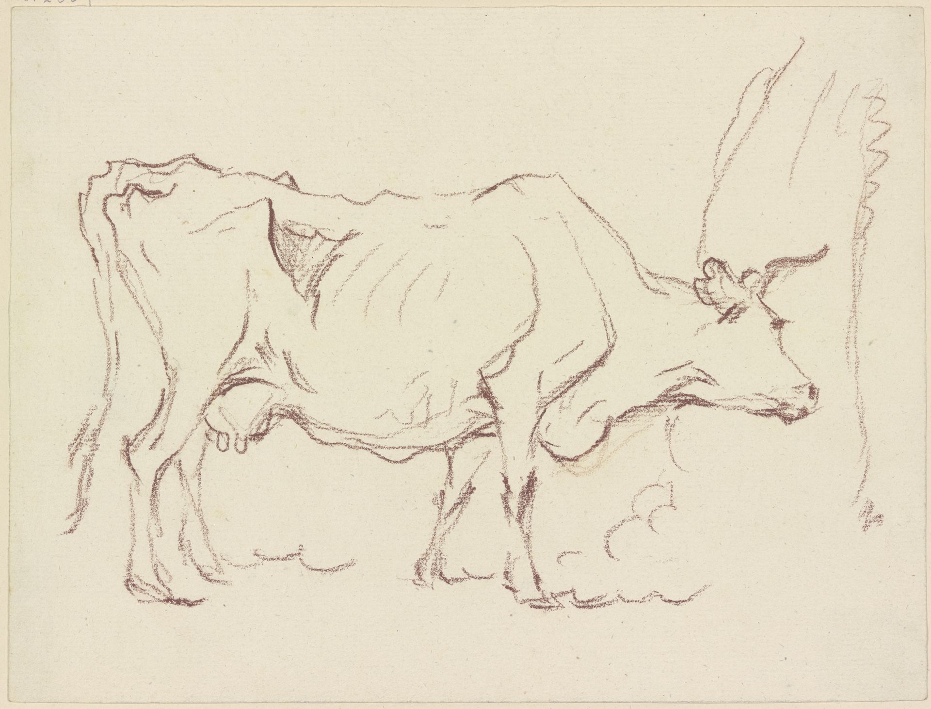 Magere stehende Kuh nach rechts, sich an einem Baumstamm schubbernd by Friedrich Wilhelm Hirt
