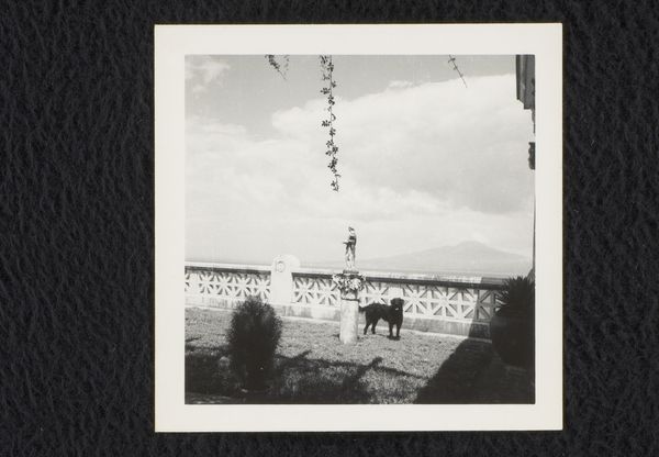 Slide 8
