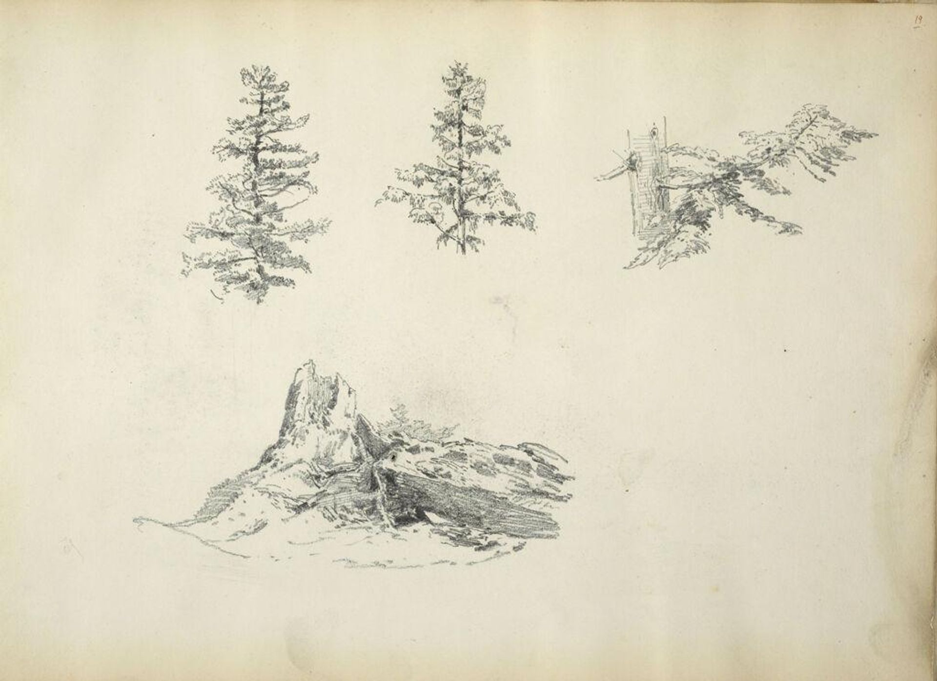 Studies of Trees and Rocks by John Singer Sargent