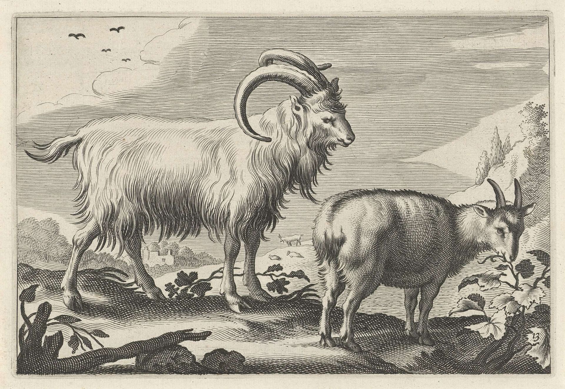 Heuvelachtig landschap met twee geiten by Reinier van Persijn