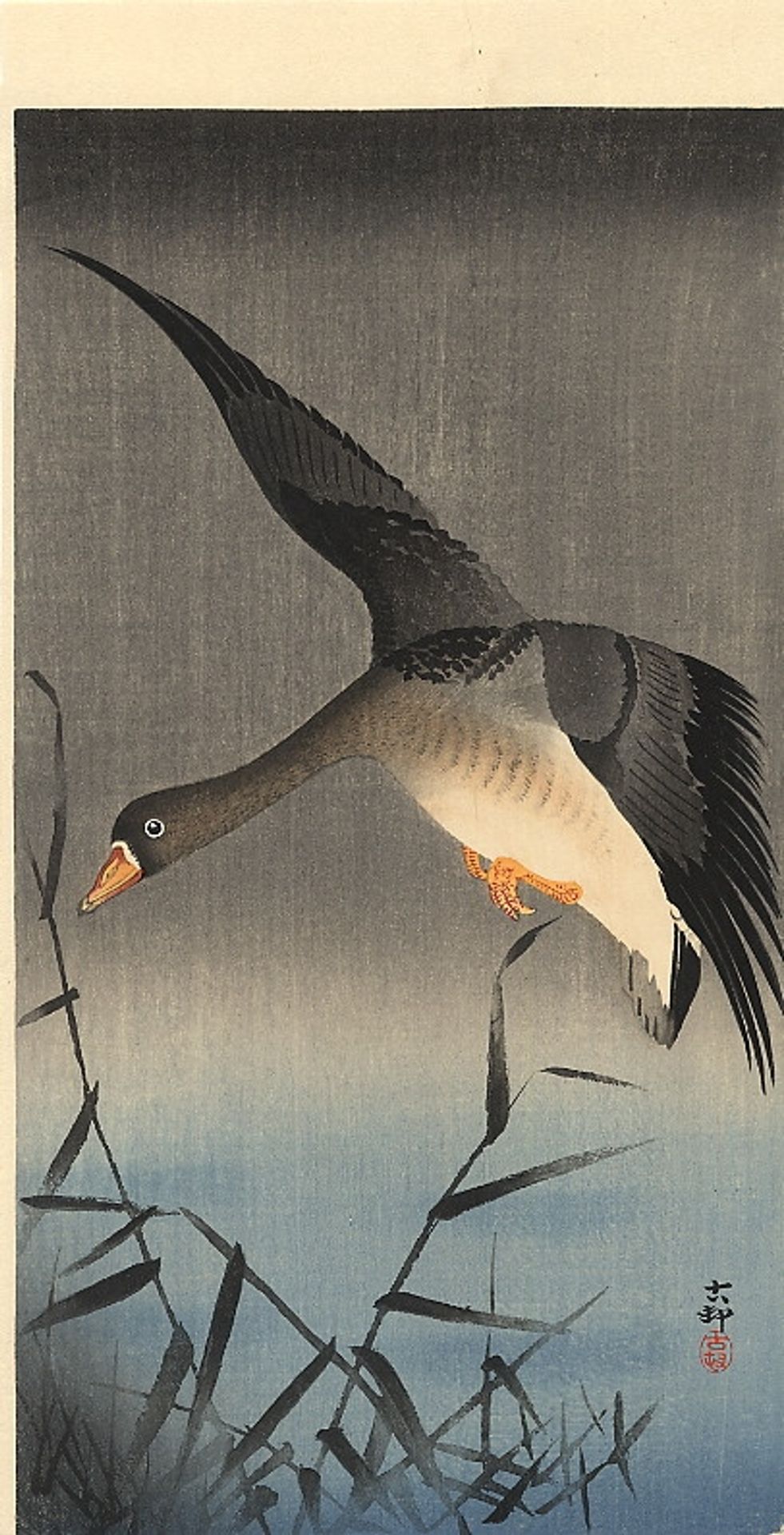 White-fronted goose descending over reeds by Ohara Koson
