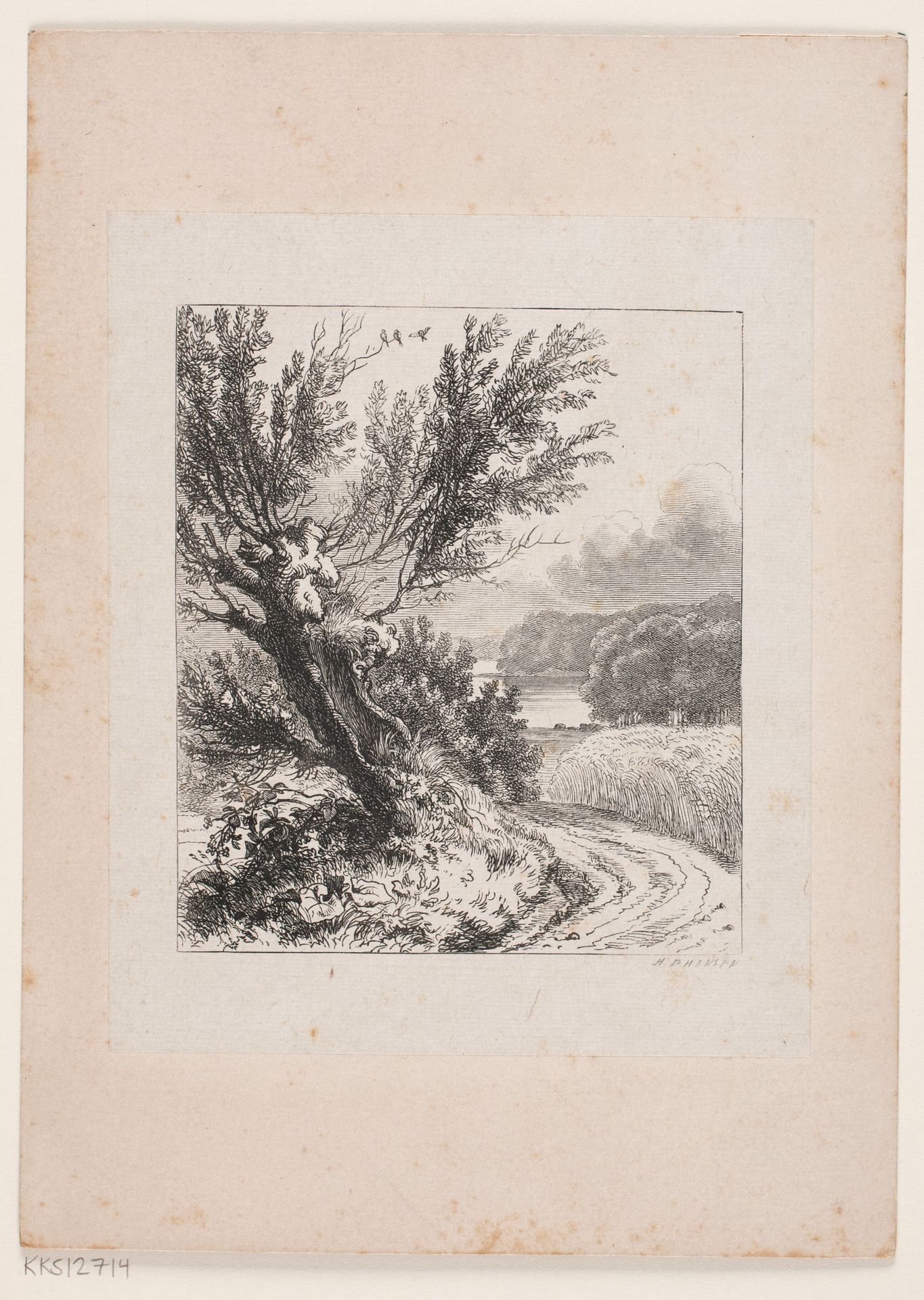 Piletræ ved en Markvej by H.P. Hansen