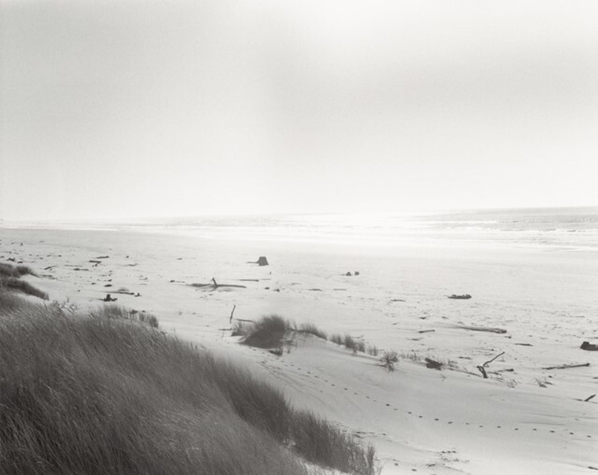 The Sea Beach by Robert Adams