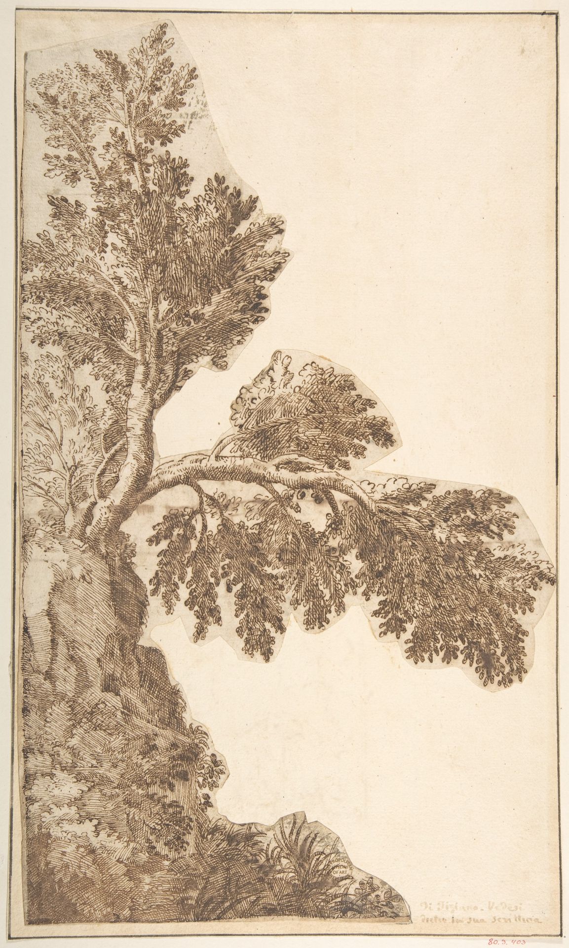 Trees by Anonymous