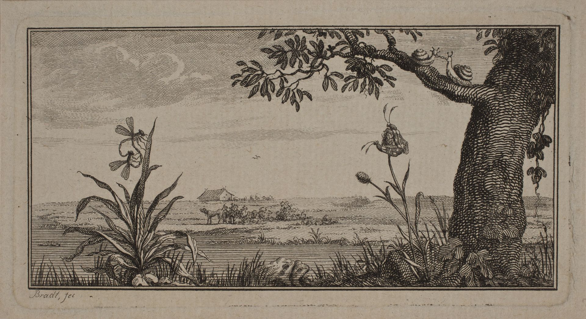 Udsigt over et fladt landskab, i forgrunden plante med insekter og træ med snegle by J.F. Clemens