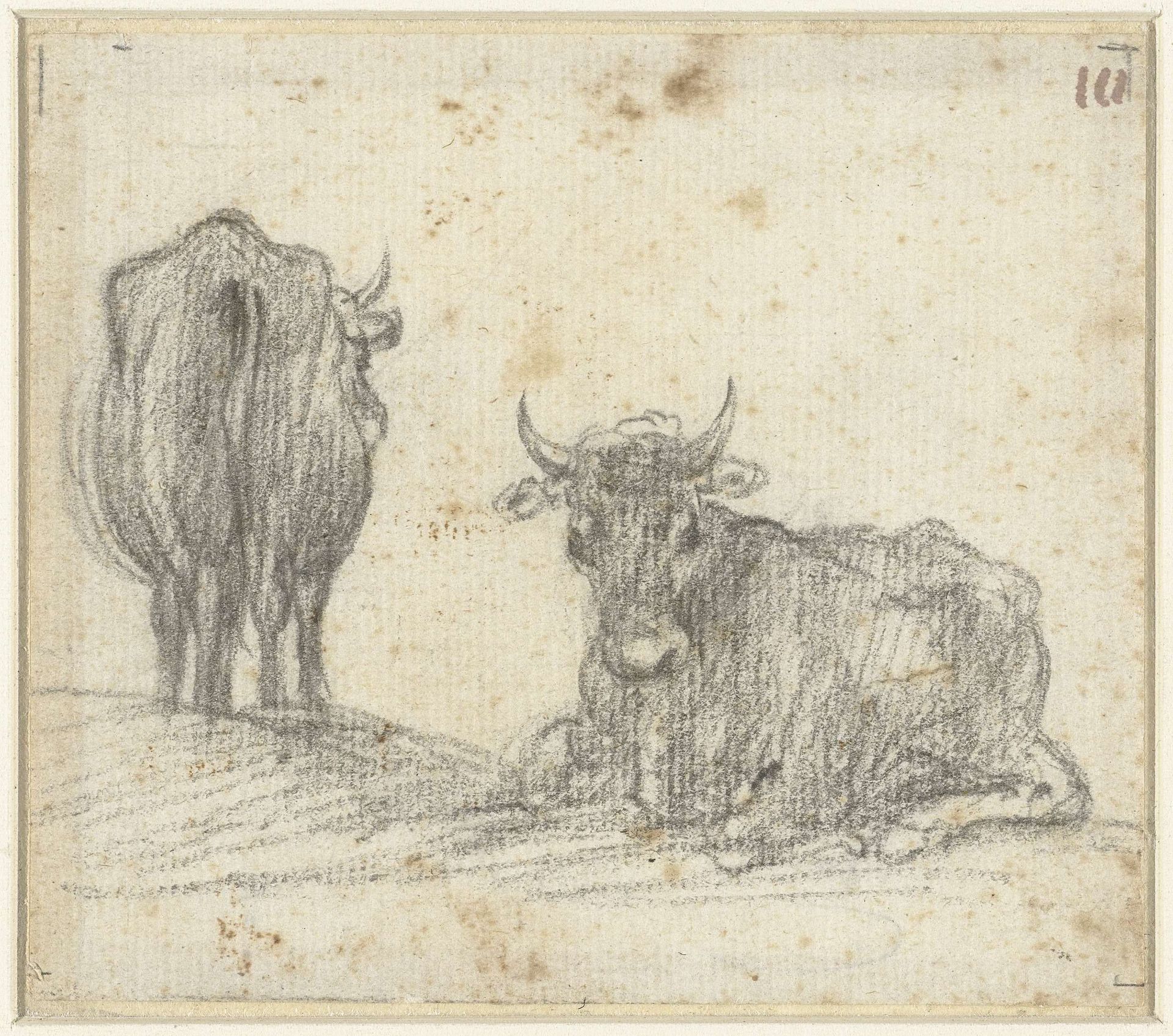 Twee koeien uit de Campagna by Claude Lorrain