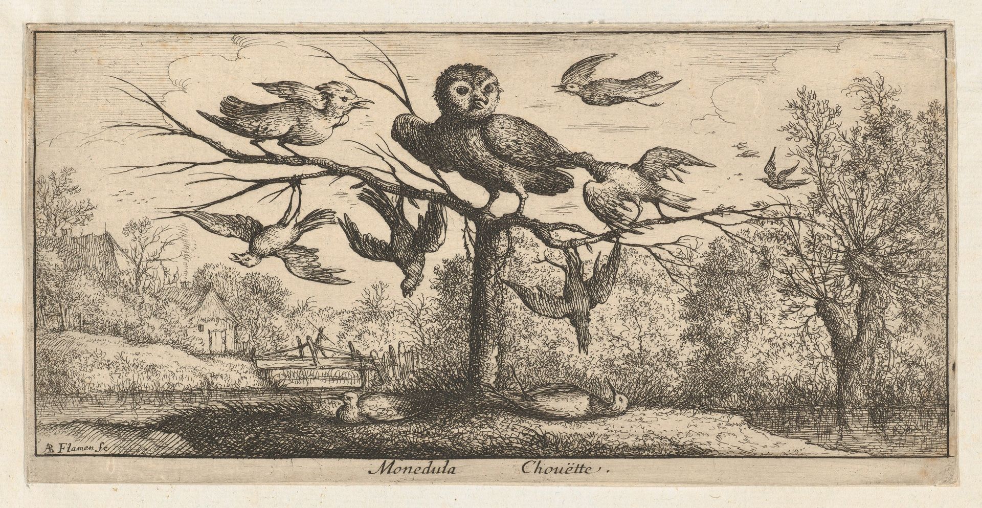 Monedula, Chouëtte (The Owl), from "Livre d'Oyseaux" (Book of Birds) by Albert Flamen