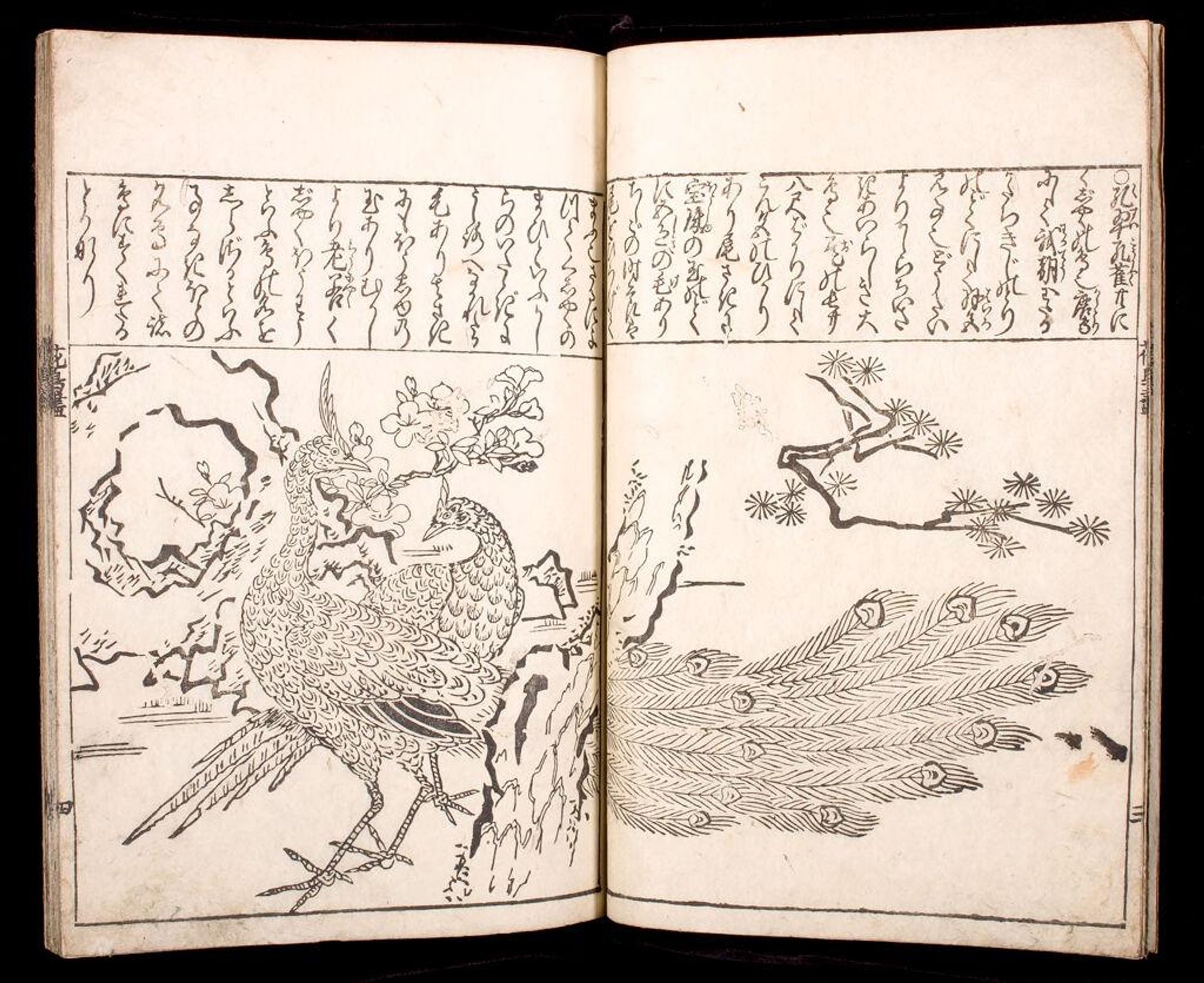 Illustrated Birds and Flowers, with Text (KachÅ e-zukushi) by Attributed to Hishikawa Moronobu è±å·å¸«å®£