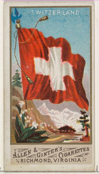 Slide 8