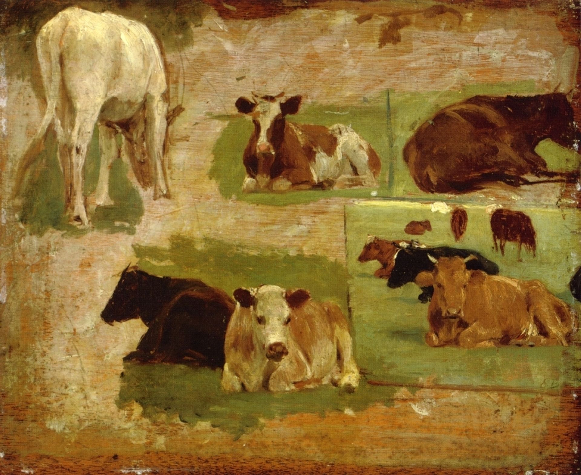 Study of Cows by Eugène Boudin