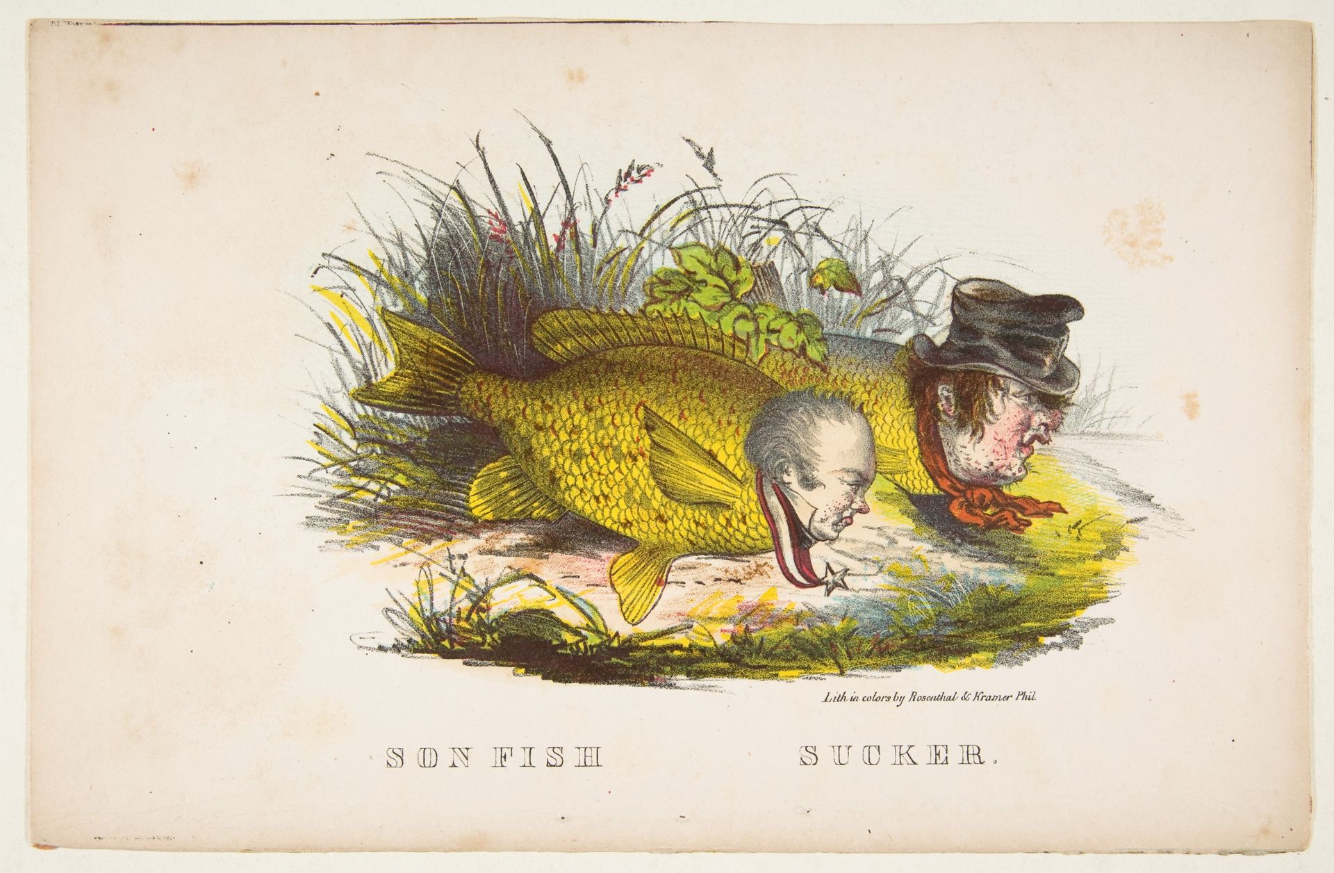 Son Fish and Sucker, from The Comic Natural History of the Human Race by Henry Louis Stephens
