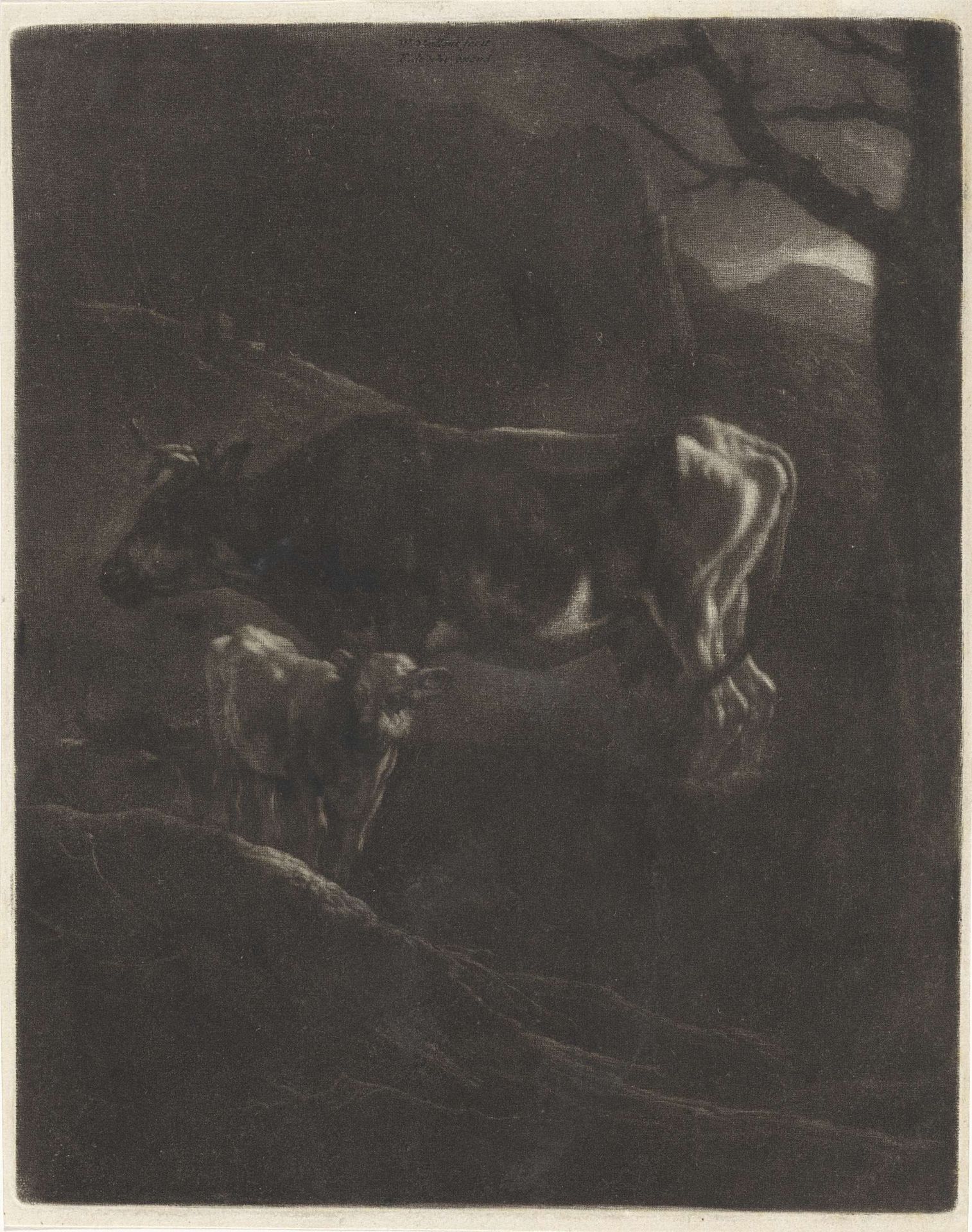 Avondlandschap met een koe en een kalf by Wallerant Vaillant