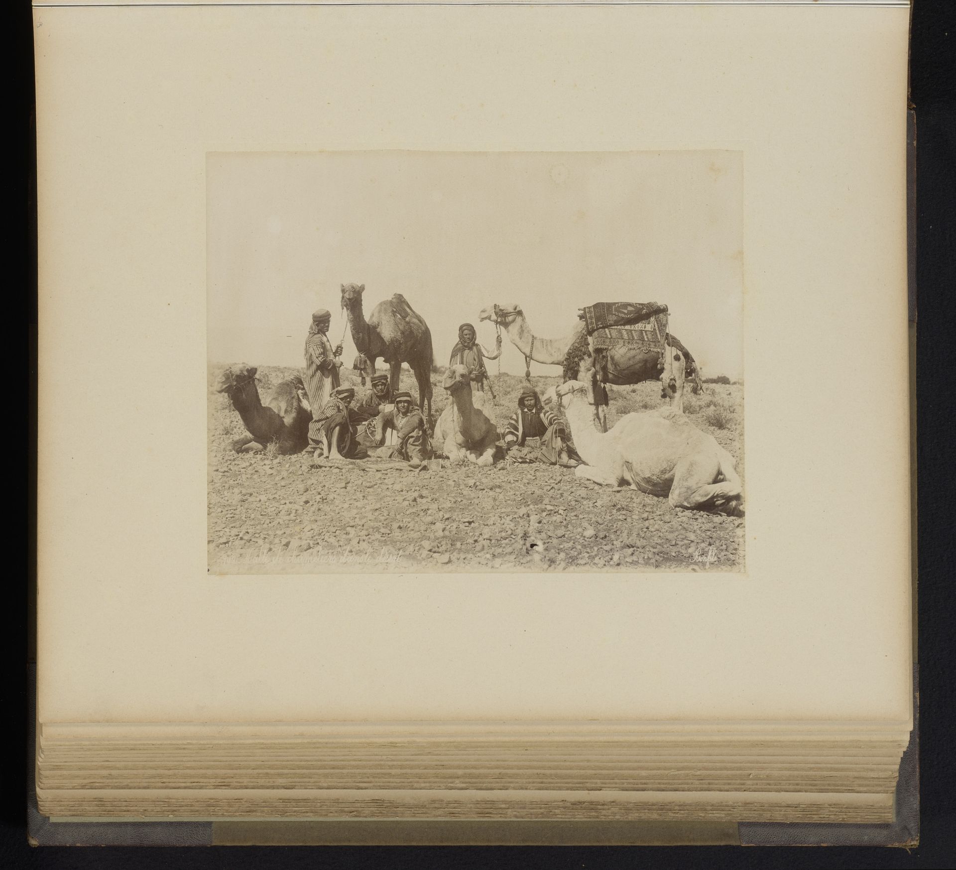 Mannen met dromedarissen in de woestijn by Félix Bonfils