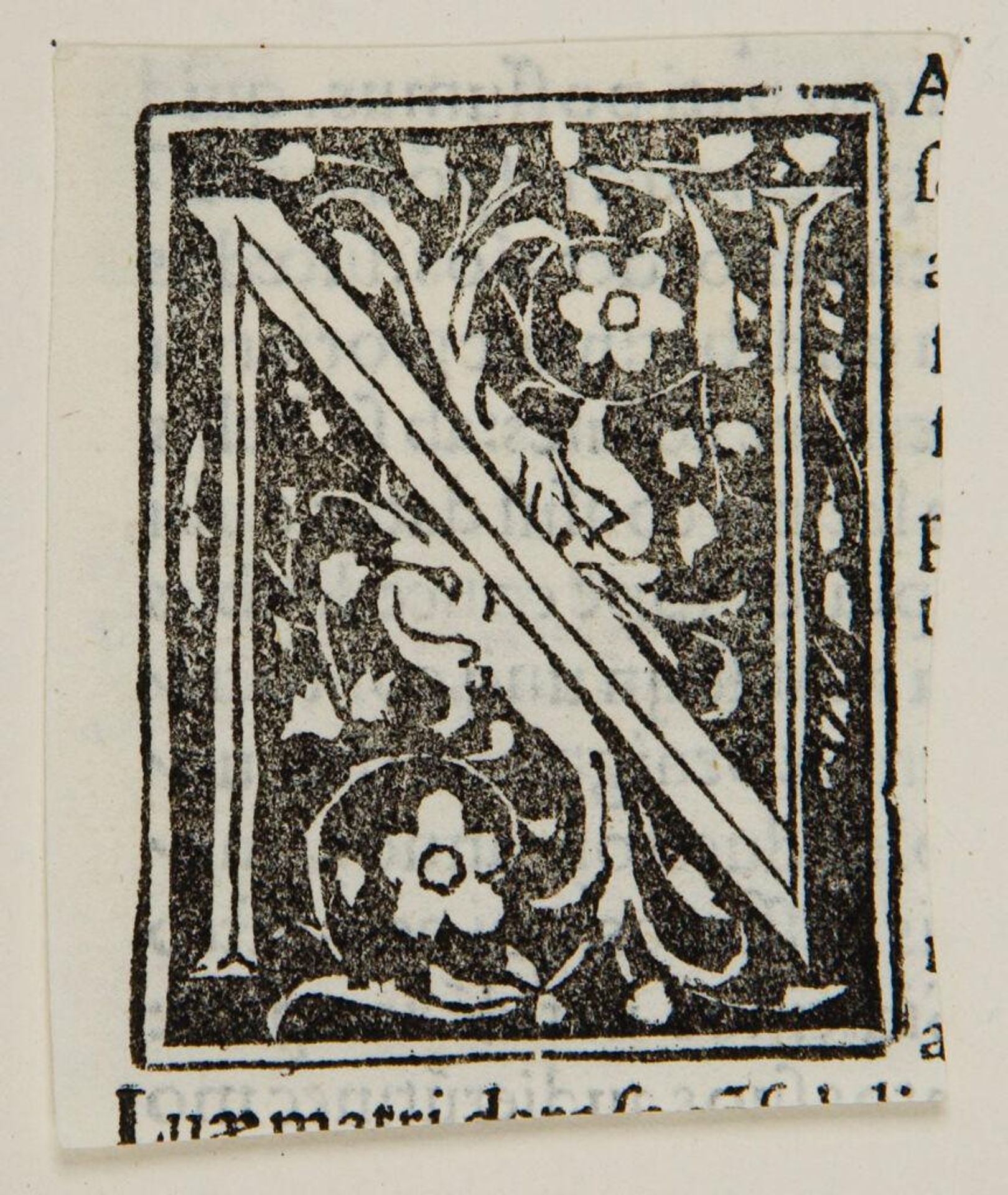 Letter N by Anonymous