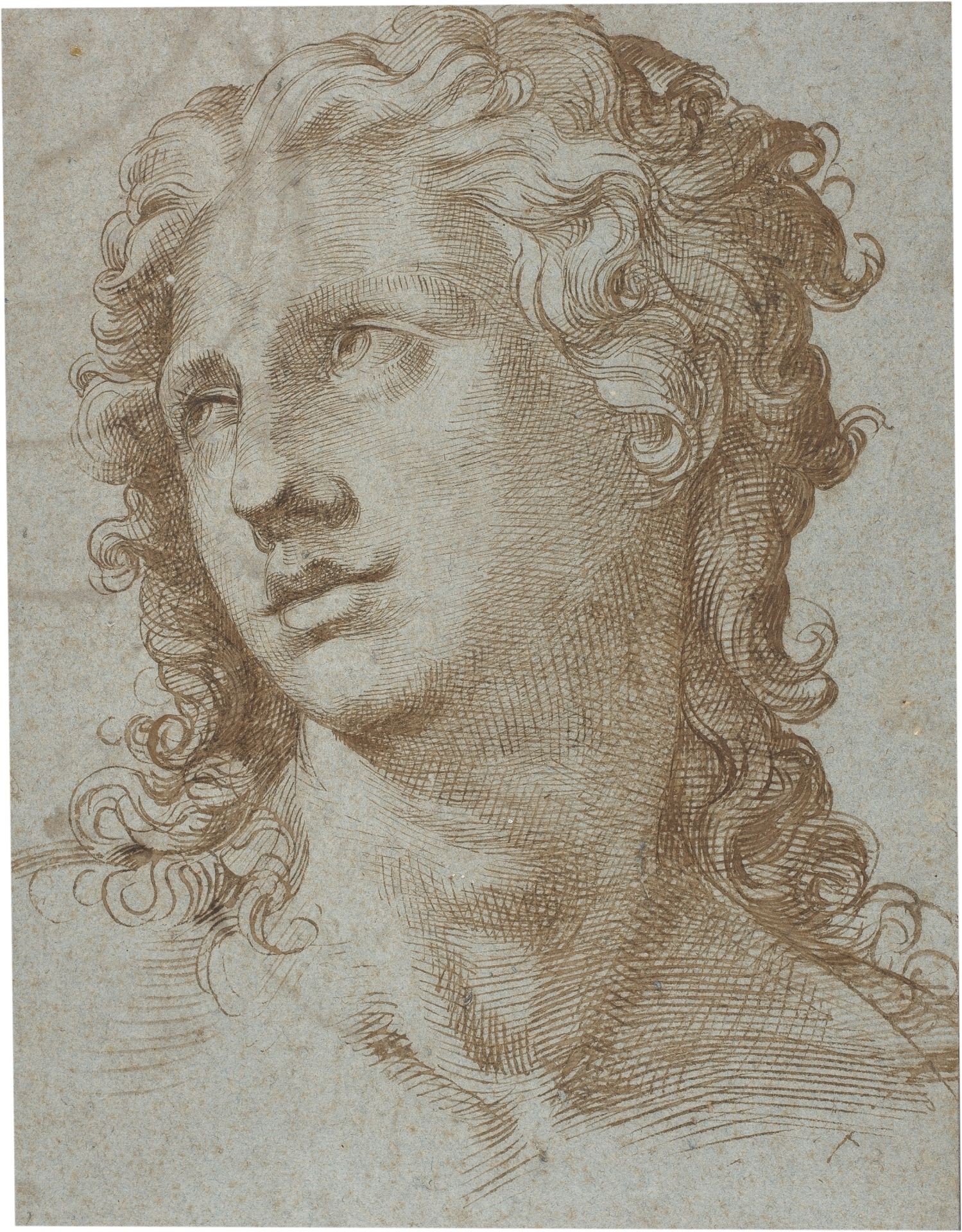 Male Head by Bartolomeo Passerotti